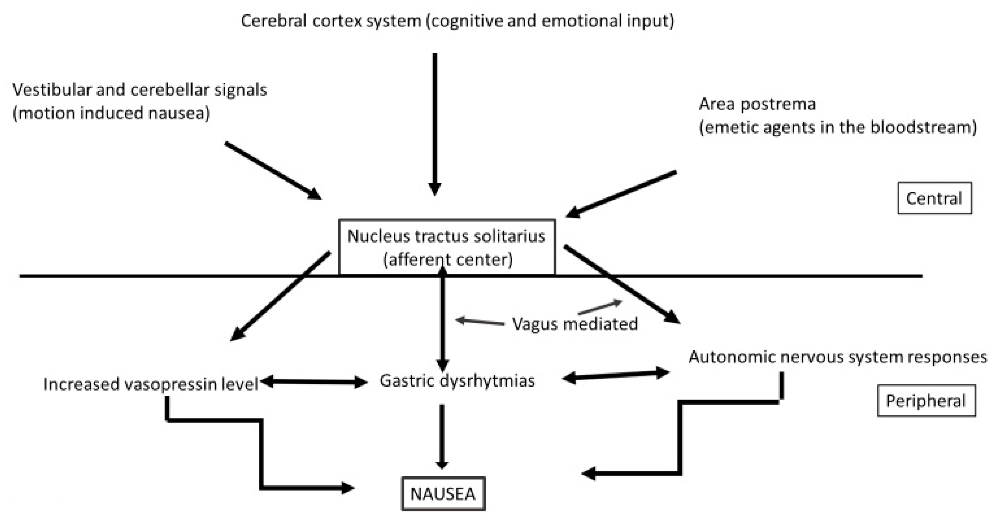 Nutrients 12 03167 g002 Nutrients 12 03167 g002