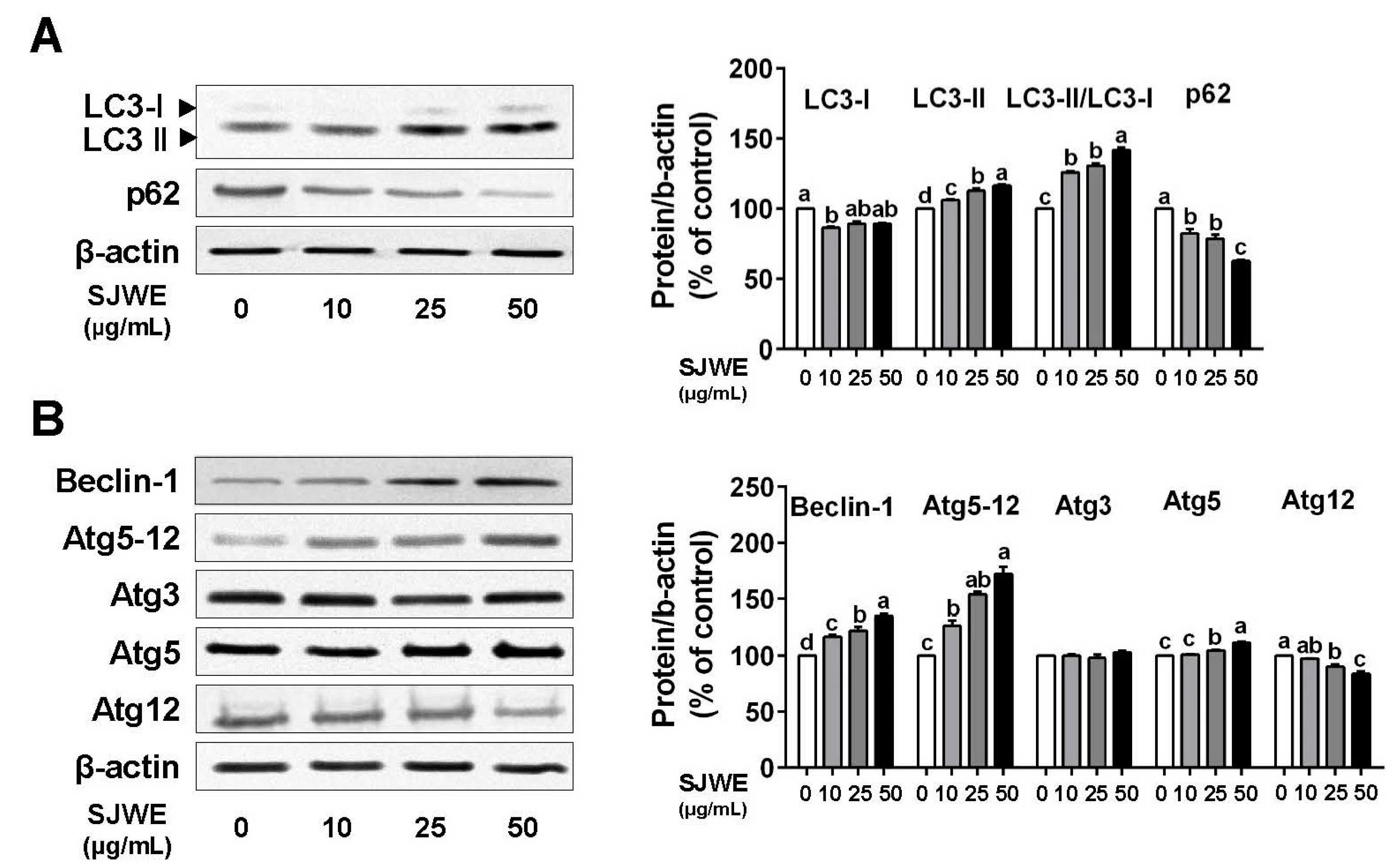 Nutrients 12 03175 g002 Nutrients 12 03175 g002