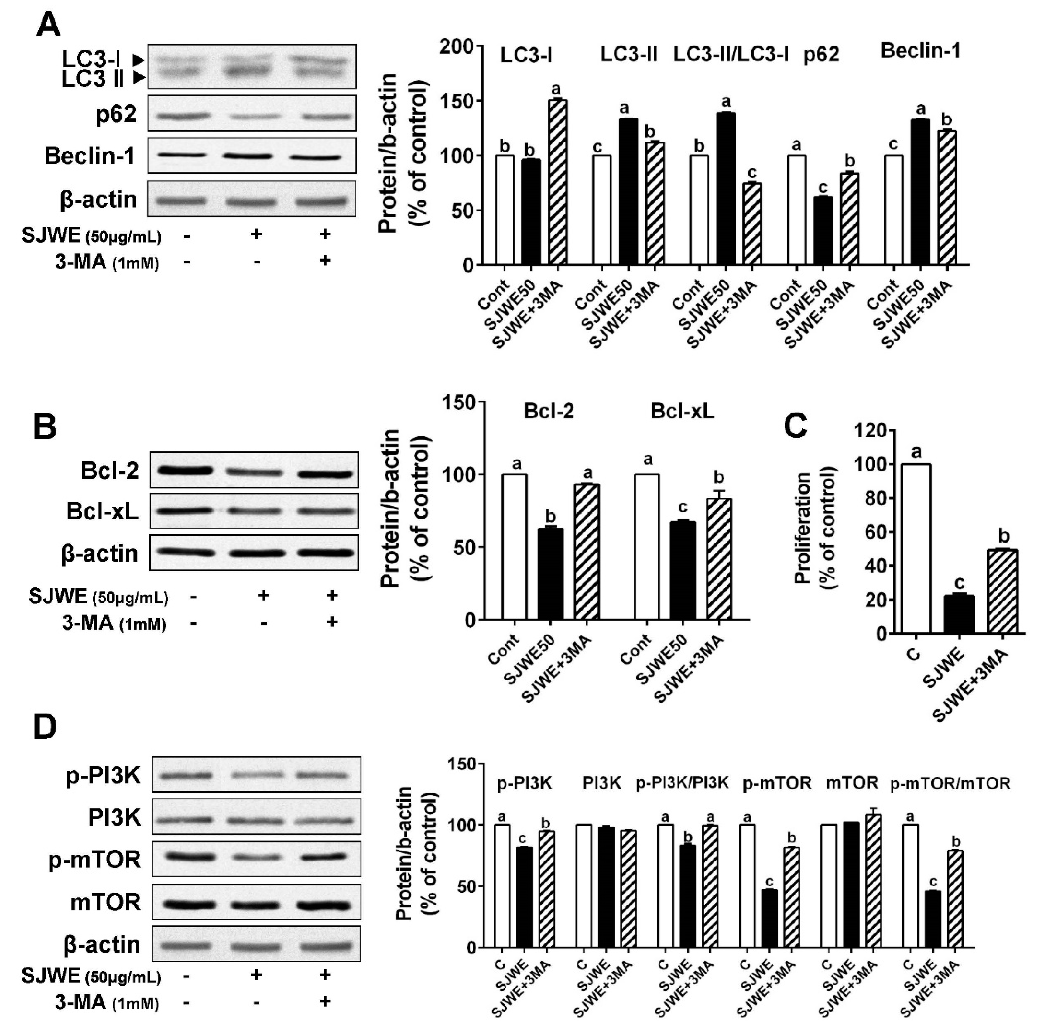 Nutrients 12 03175 g004 Nutrients 12 03175 g004