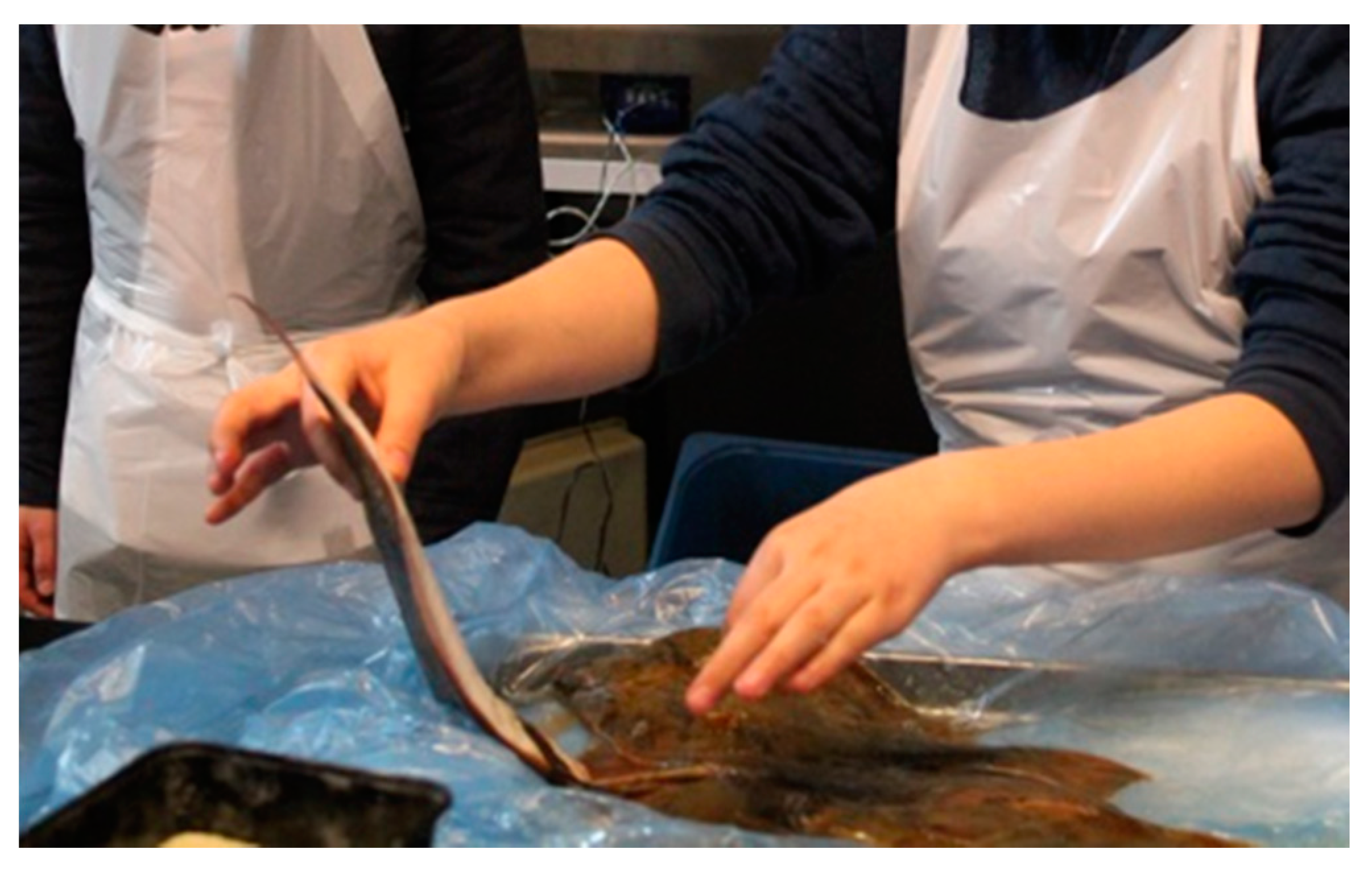 Nutrients 12 03180 g005 Nutrients 12 03180 g005