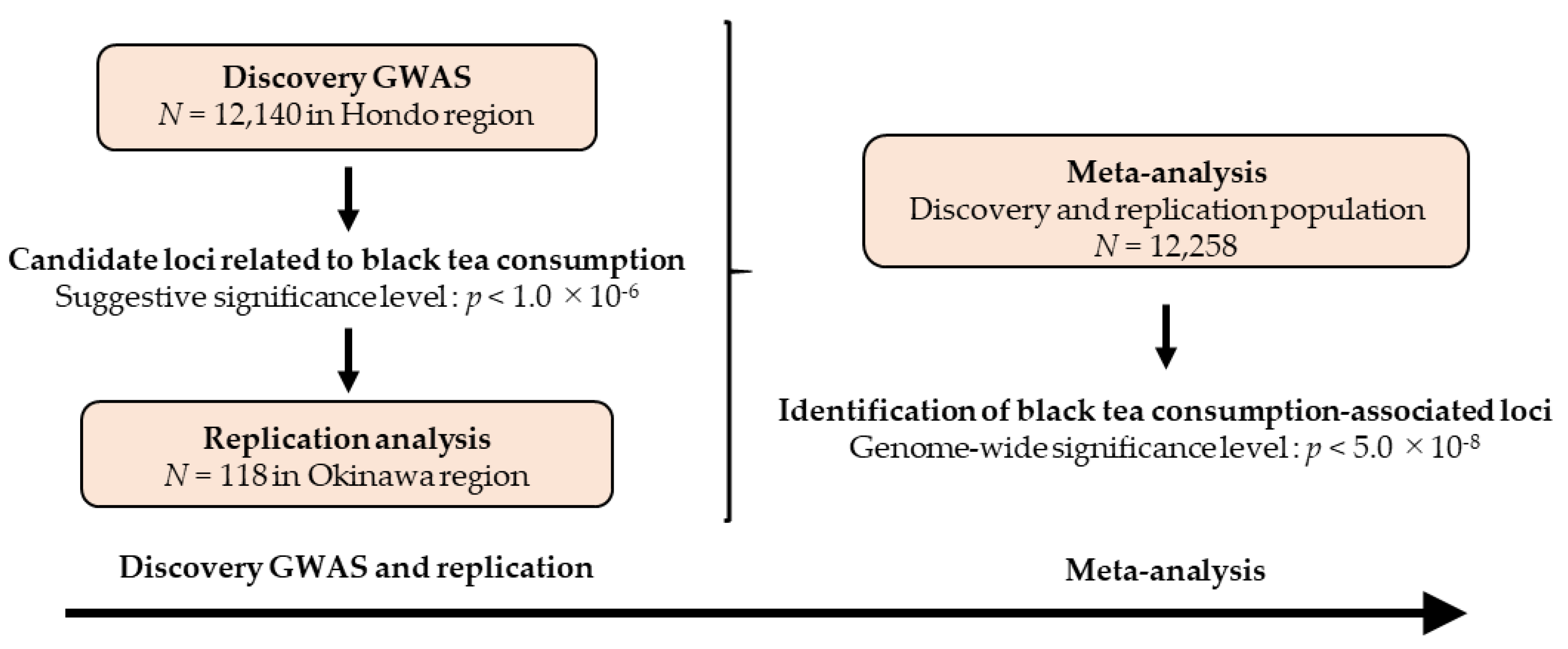 Nutrients 12 03182 g001 Nutrients 12 03182 g001