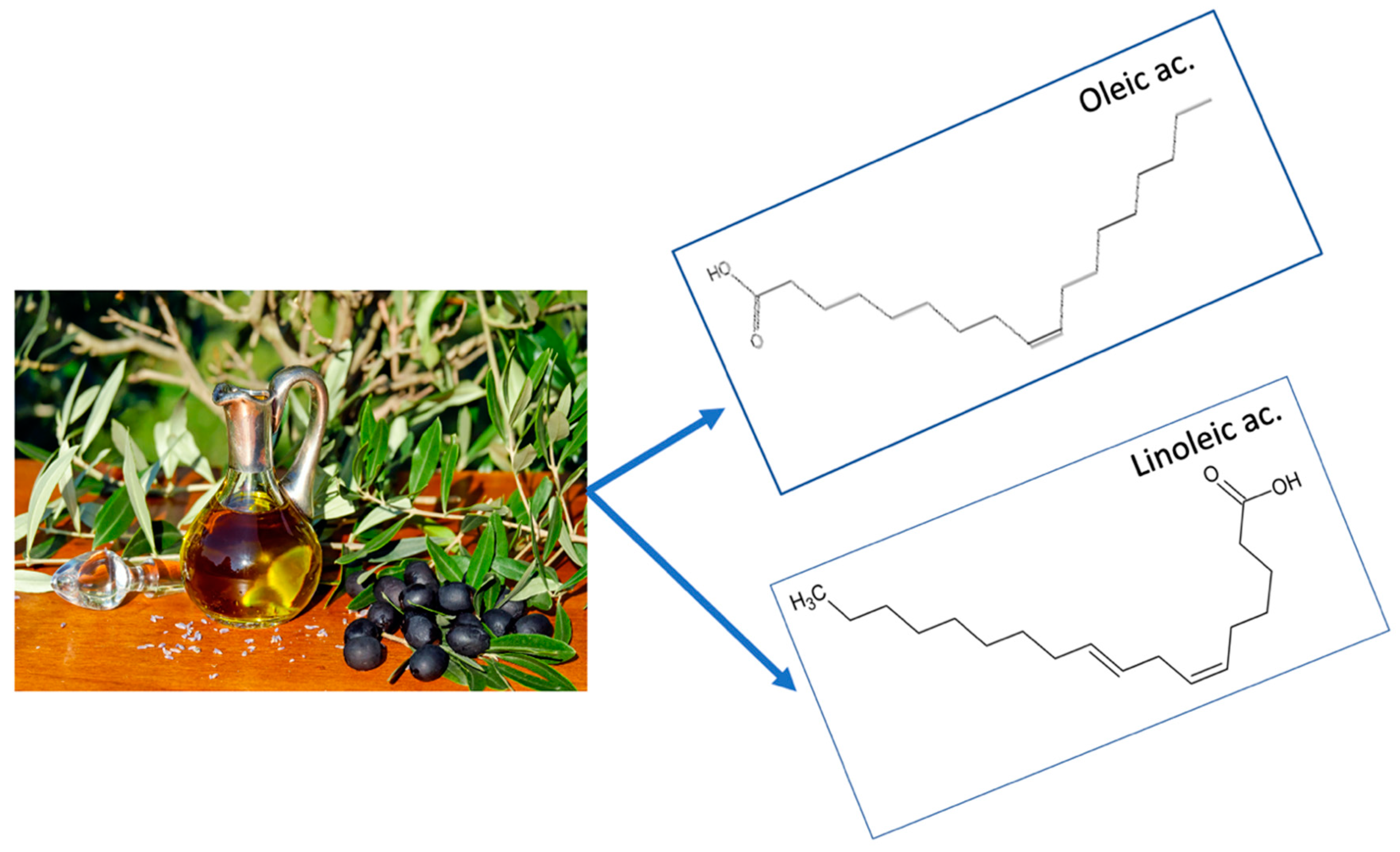 Nutrients 12 03184 g003 Nutrients 12 03184 g003