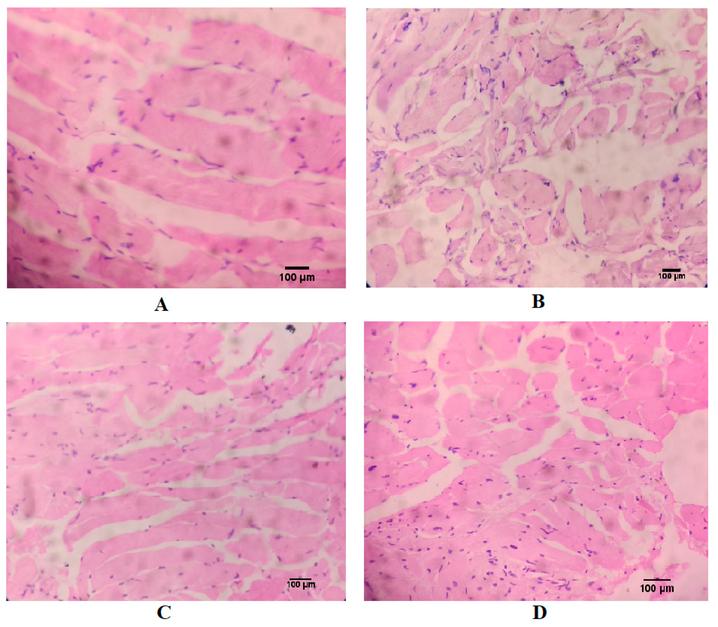 Nutrients 12 03186 g004 Nutrients 12 03186 g004