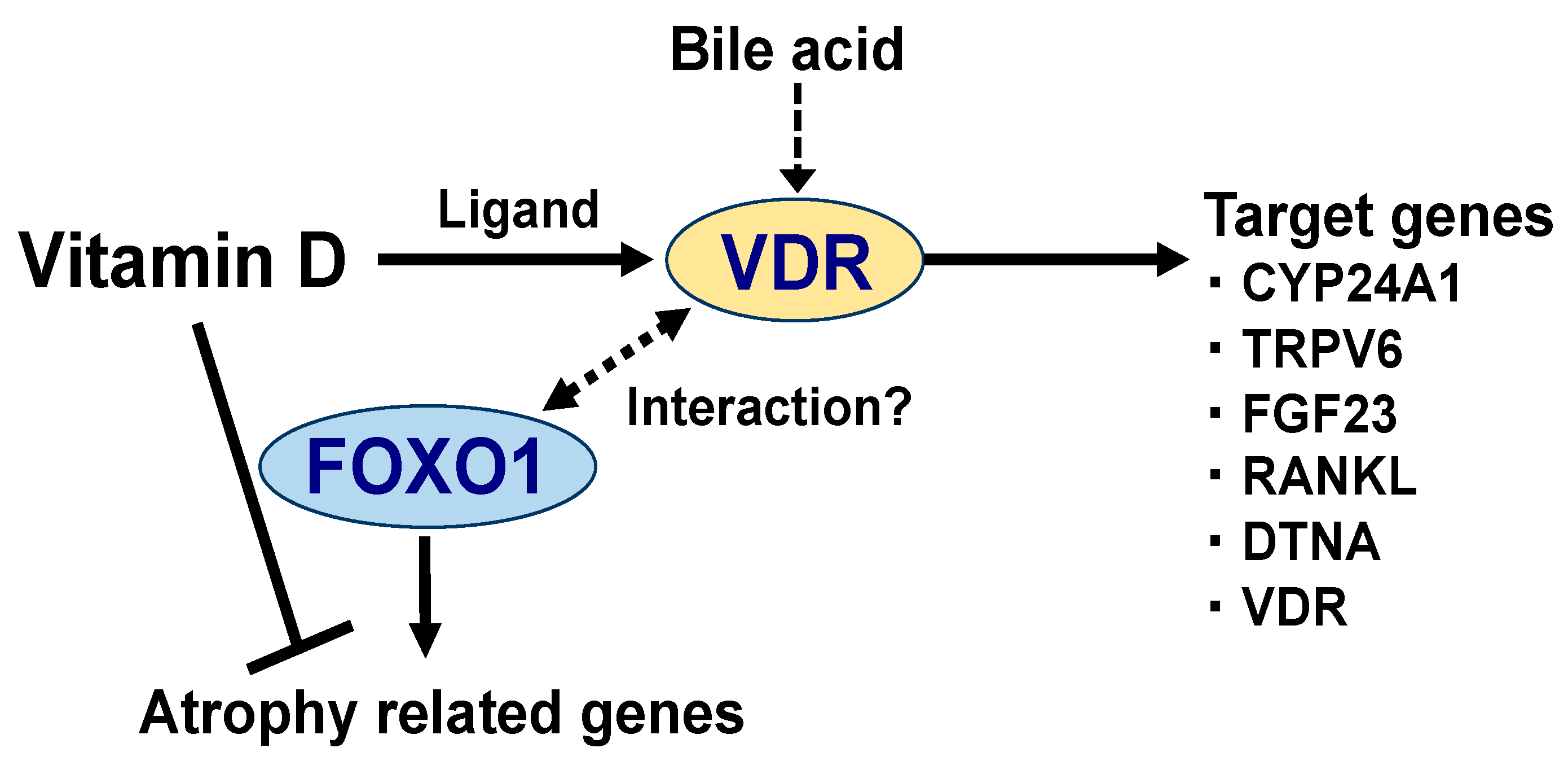 Nutrients 12 03189 g002