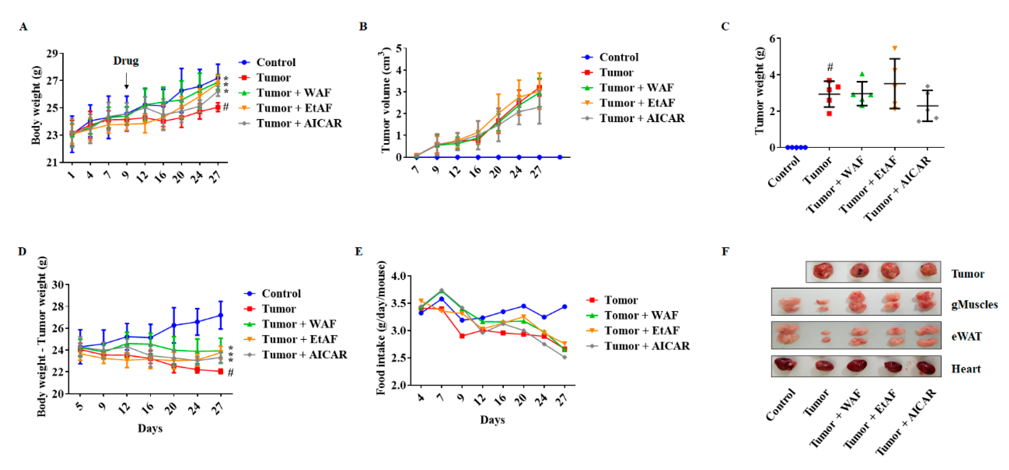 Nutrients 12 03195 g002 Nutrients 12 03195 g002