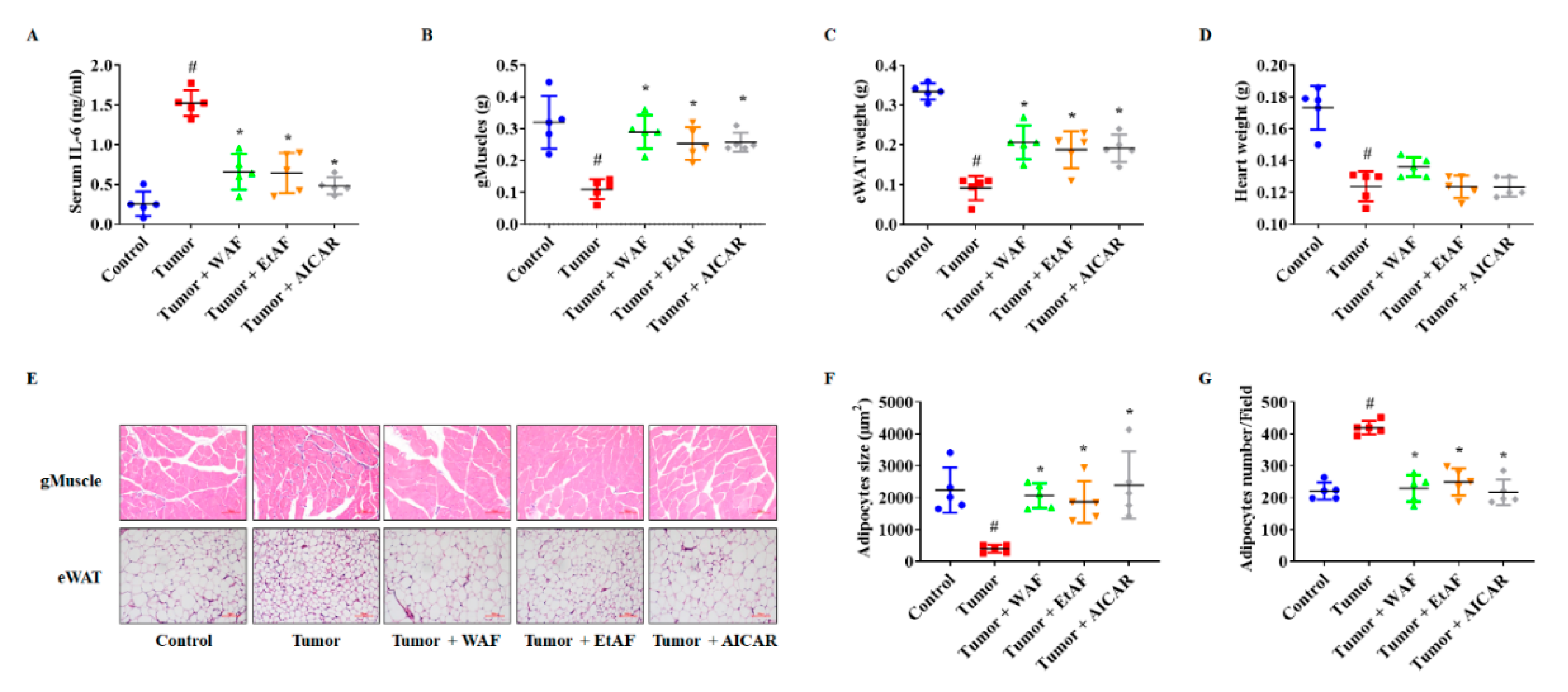 Nutrients 12 03195 g003 Nutrients 12 03195 g003