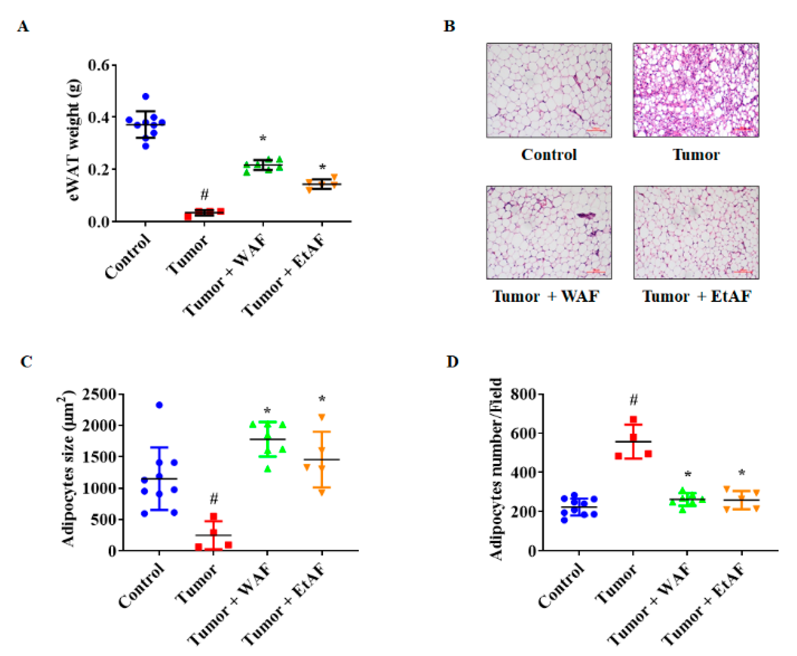 Nutrients 12 03195 g006 Nutrients 12 03195 g006