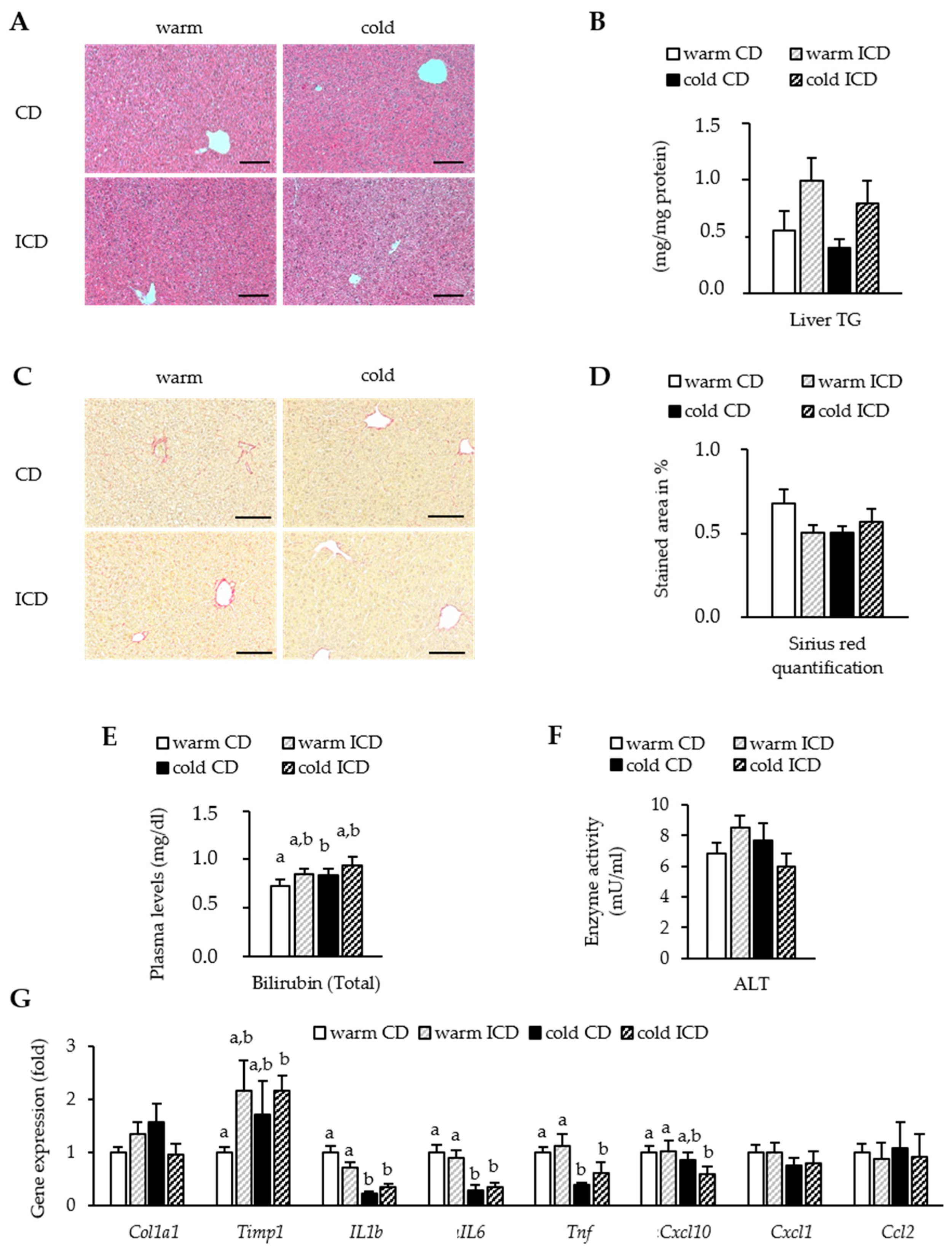 Nutrients 12 03200 g005 Nutrients 12 03200 g005