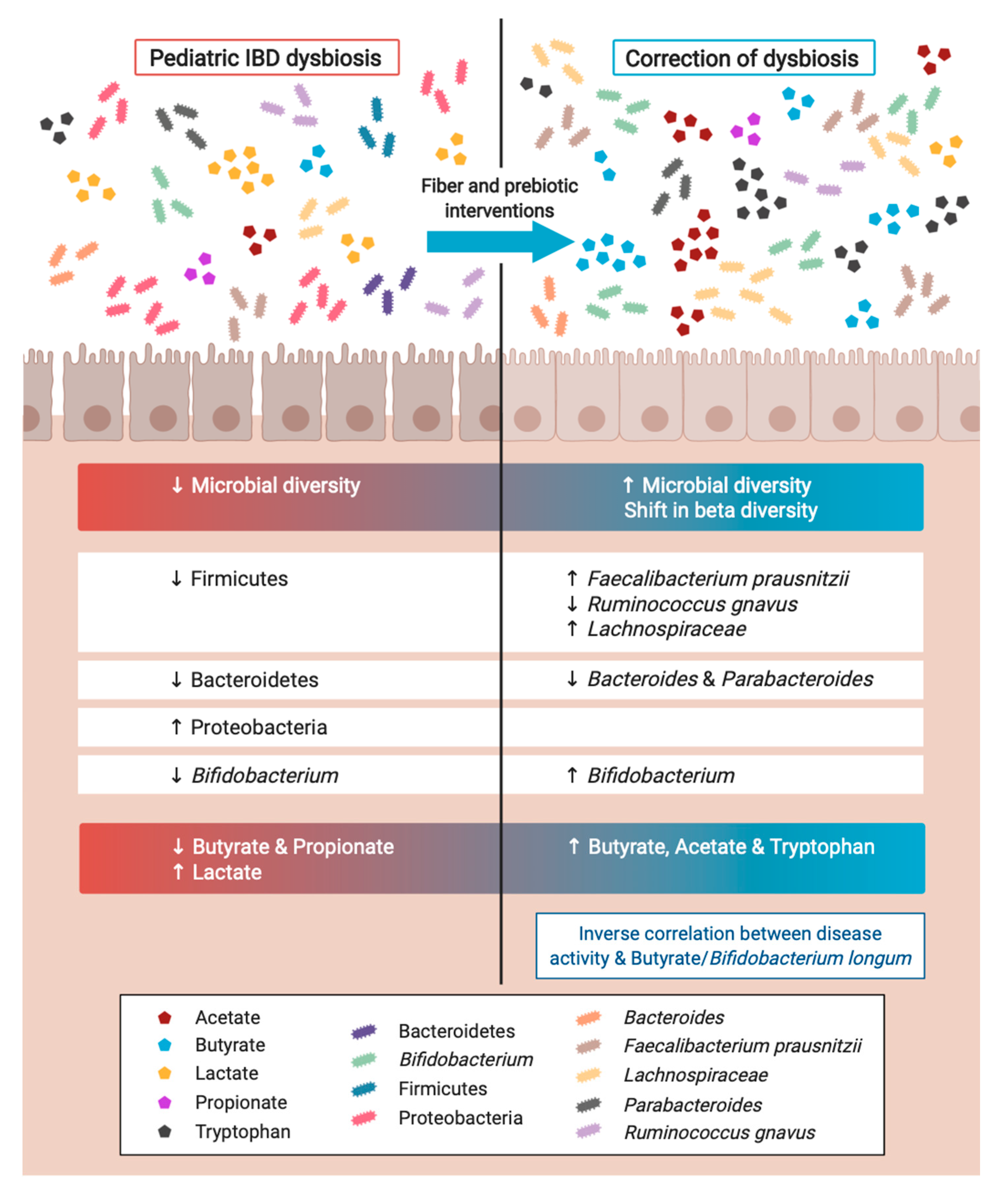Nutrients 12 03204 g001