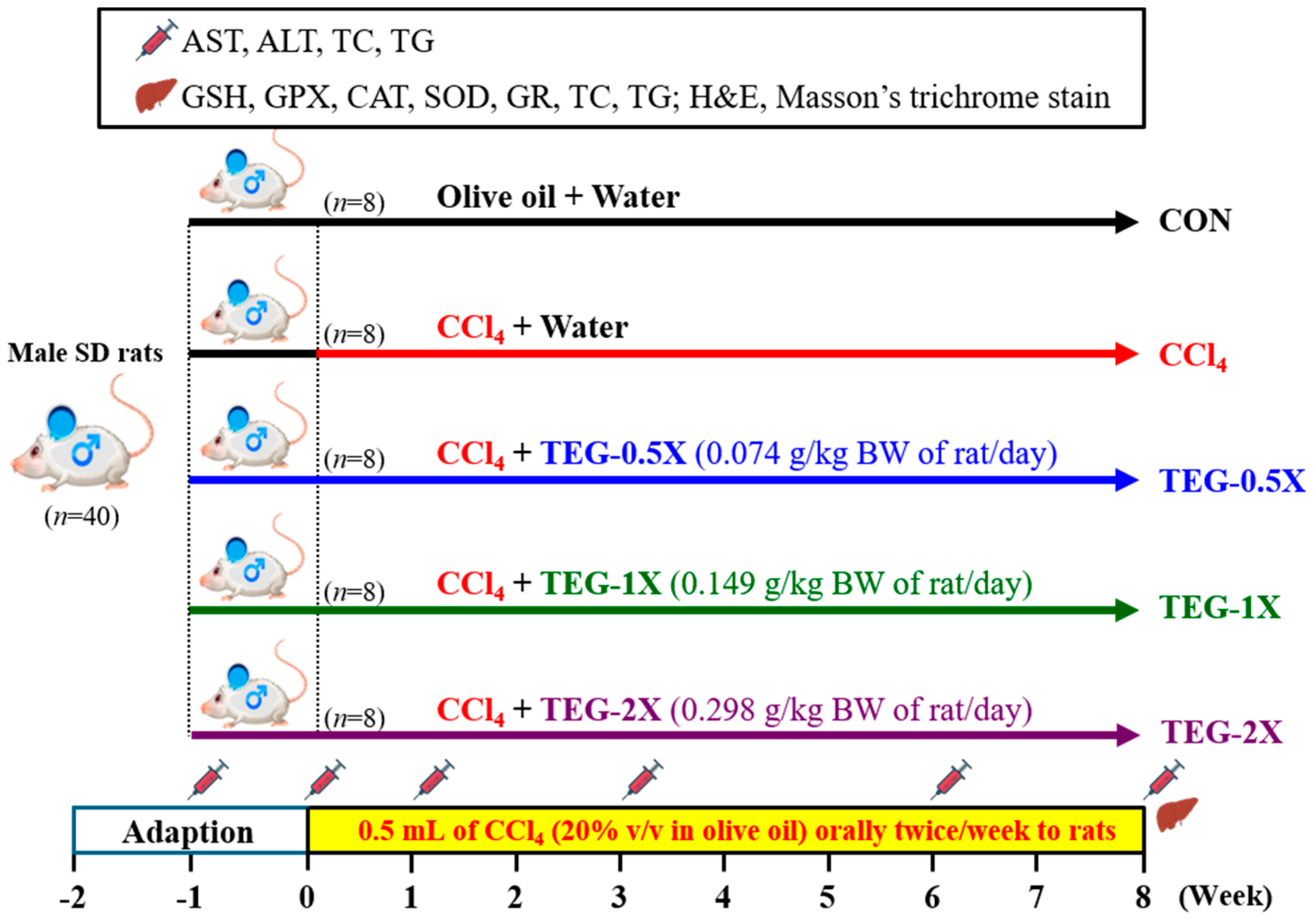 Nutrients 12 03214 g001 Nutrients 12 03214 g001