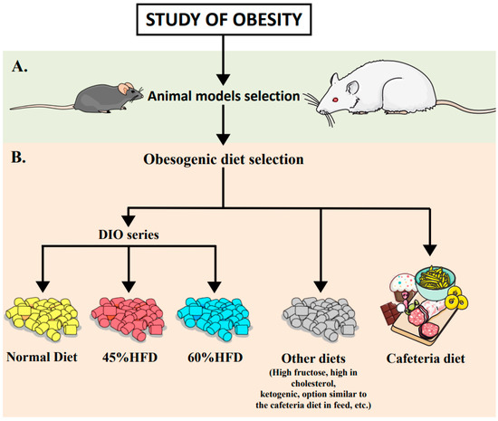 Dietary Options for Rodents in the Study of Obesity