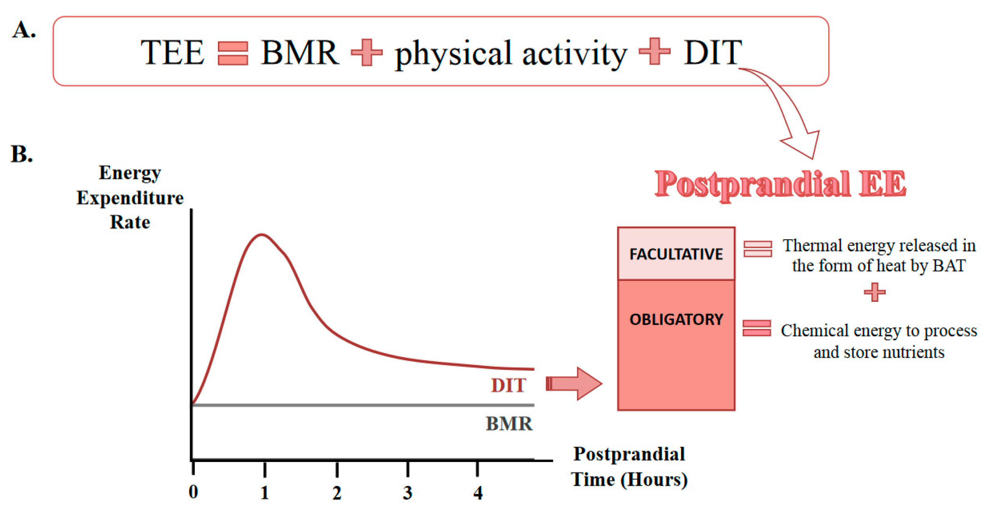 Nutrients 12 03234 g002 Nutrients 12 03234 g002