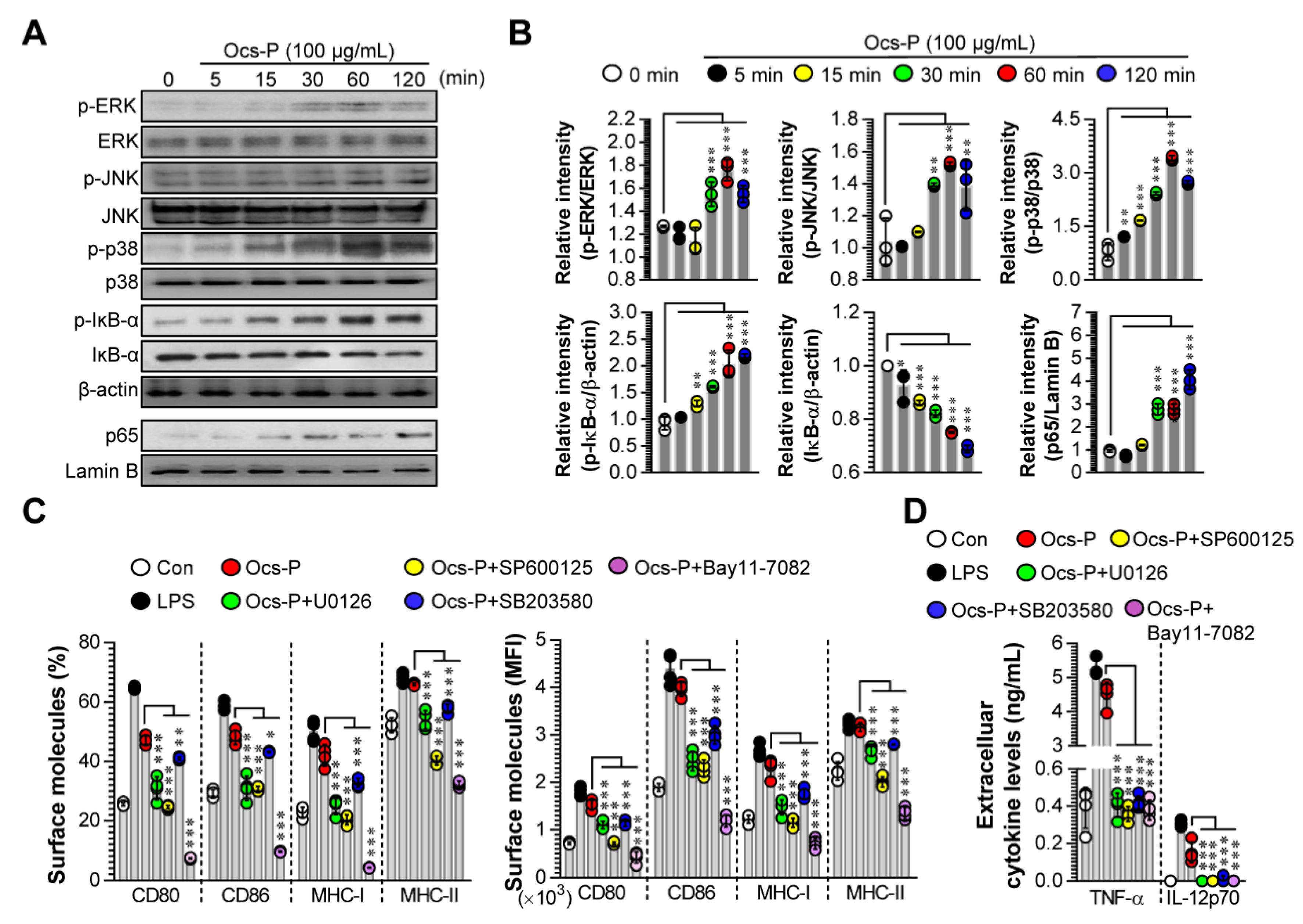 Nutrients 12 03236 g003