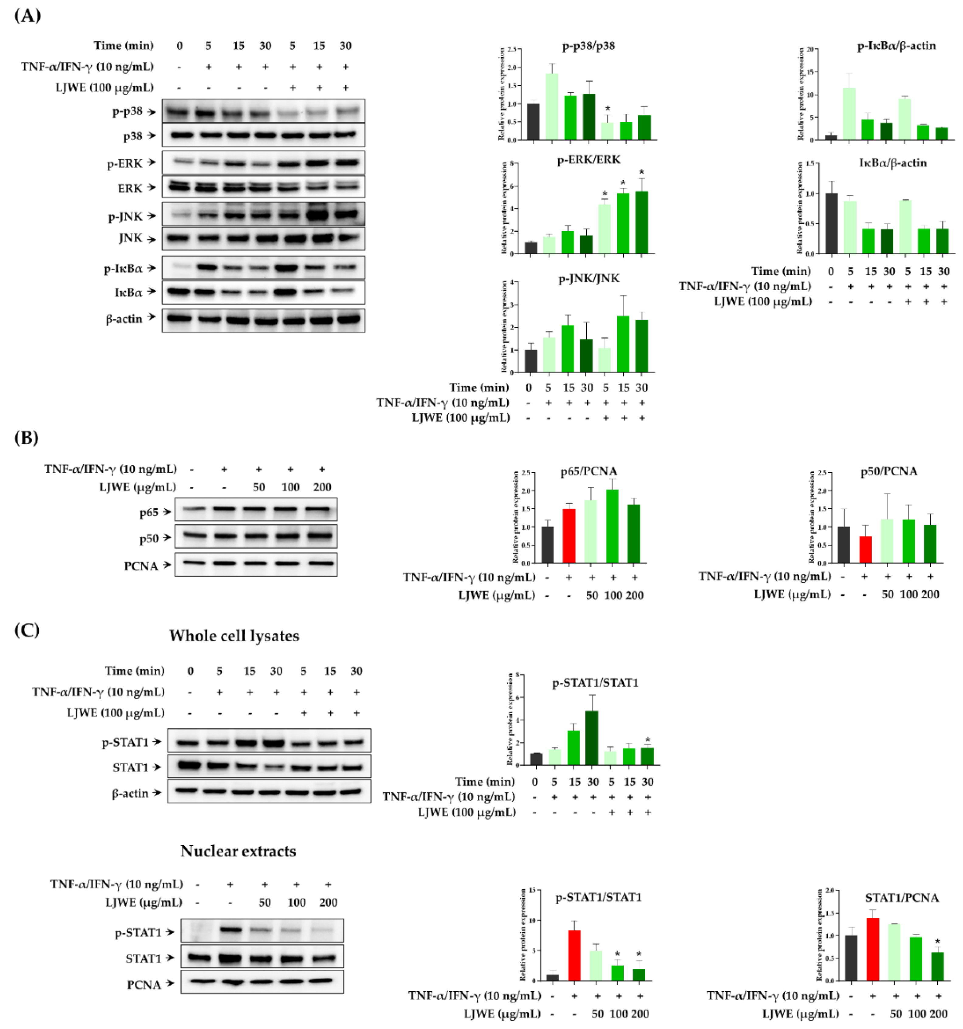 Nutrients 12 03238 g002