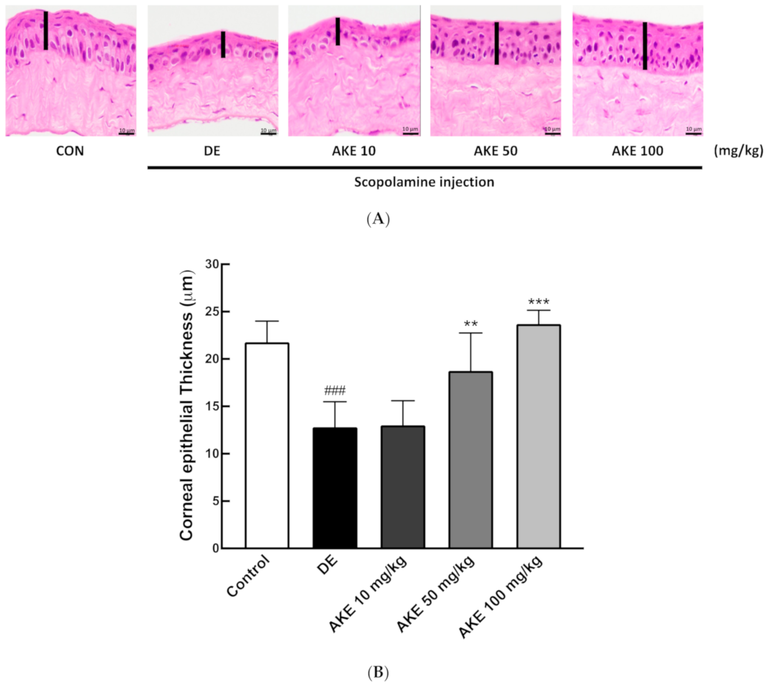 Nutrients 12 03245 g002a
