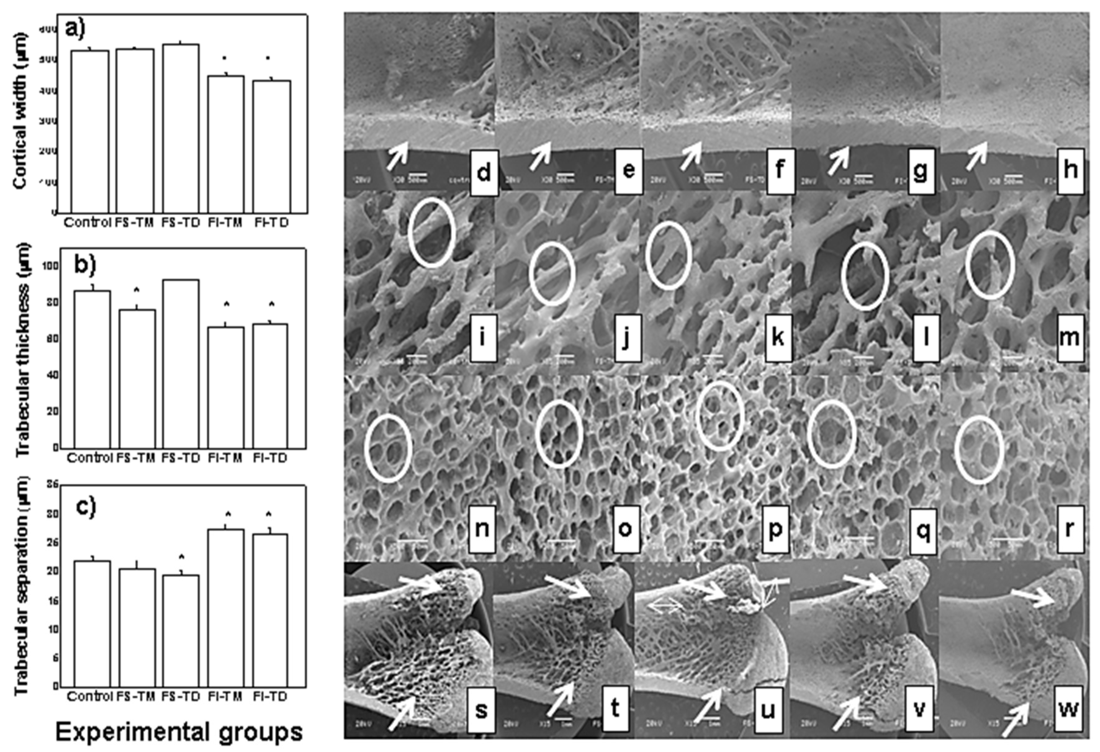Nutrients 12 03250 g001