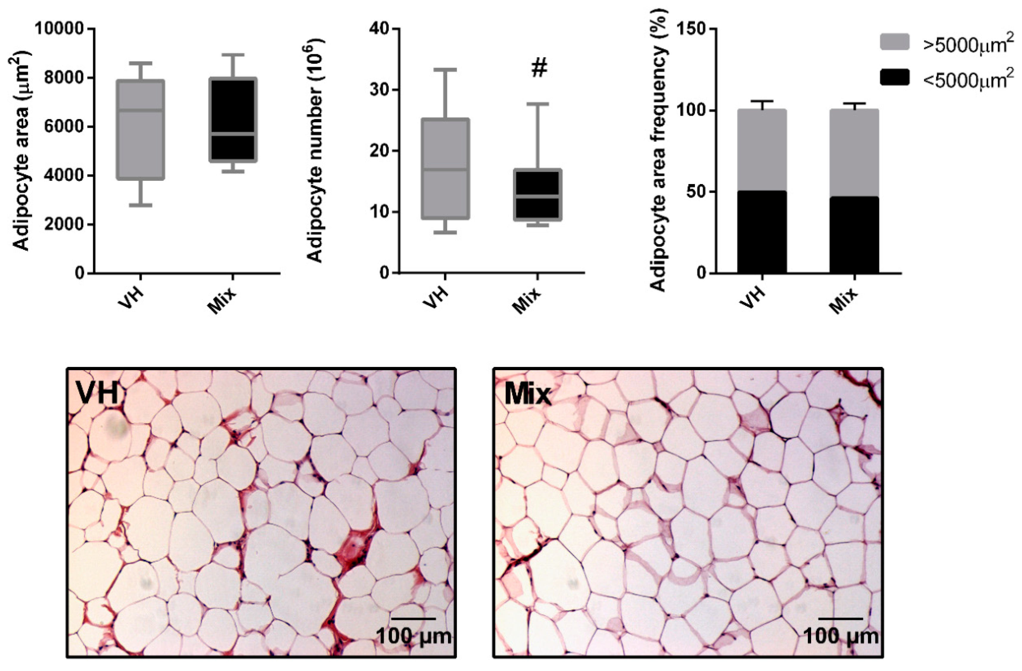 Nutrients 12 03251 g004