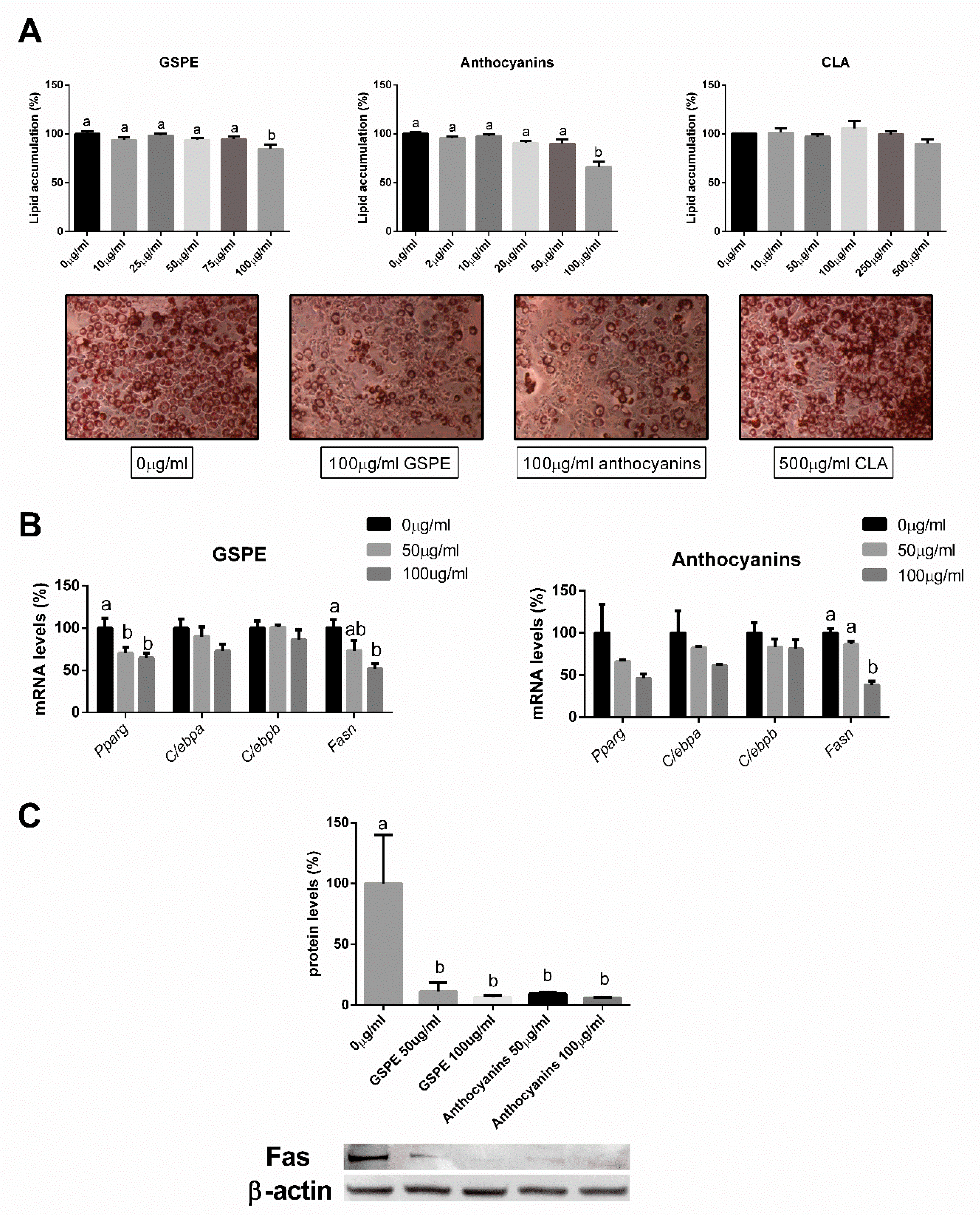 Nutrients 12 03251 g005