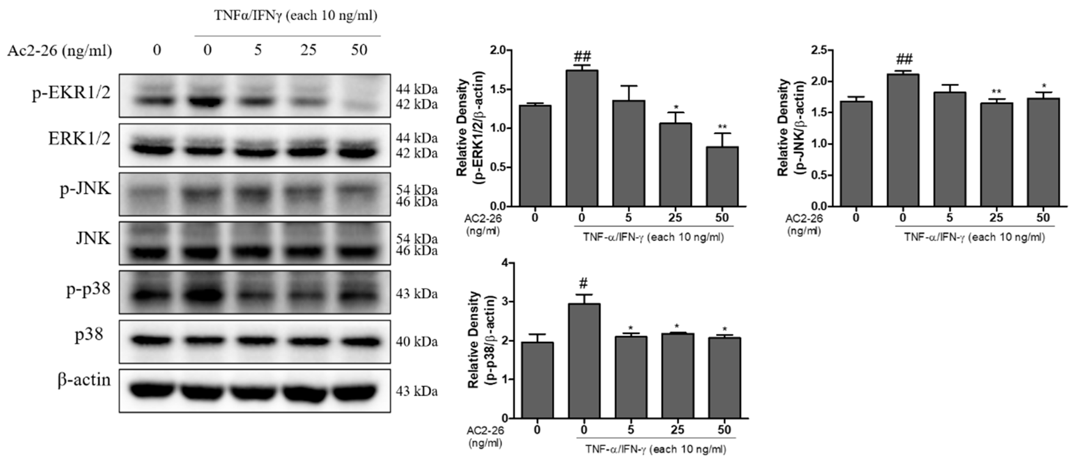 Nutrients 12 03261 g004 Nutrients 12 03261 g004