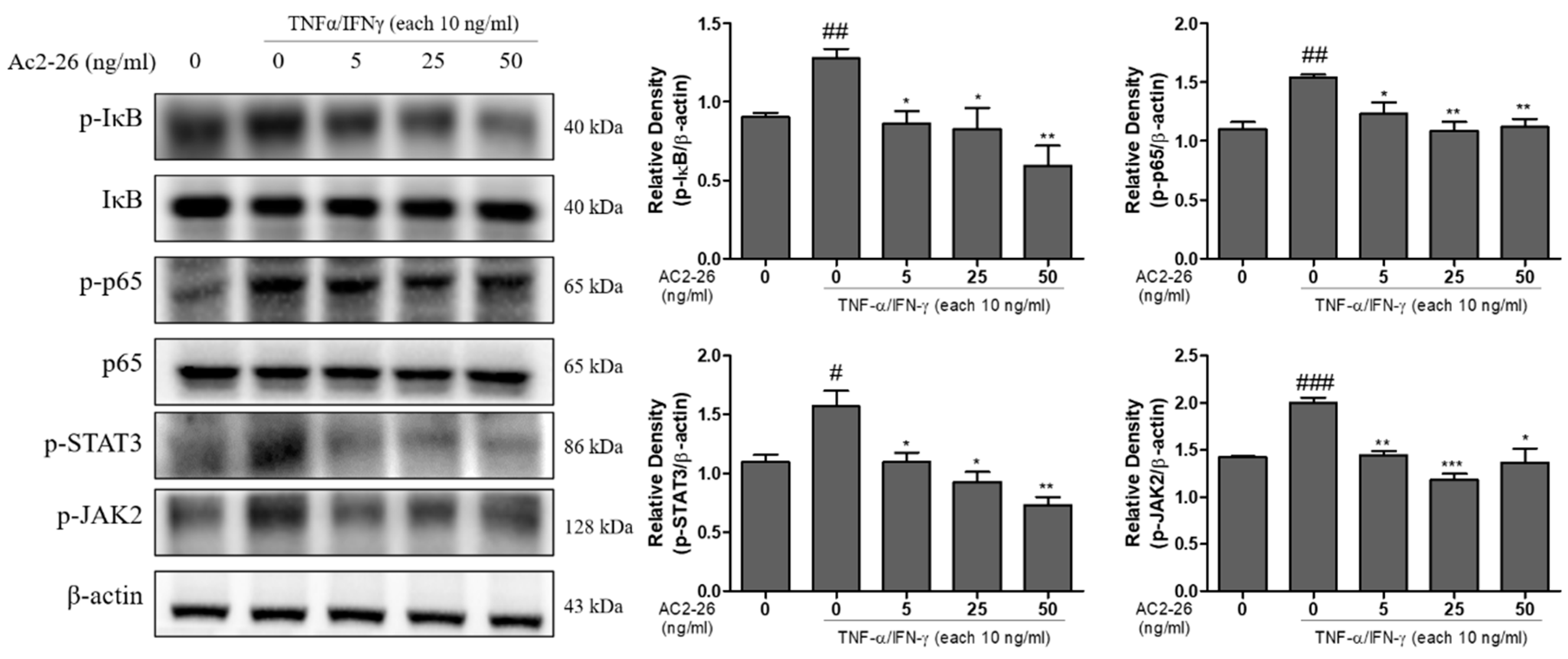 Nutrients 12 03261 g005 Nutrients 12 03261 g005