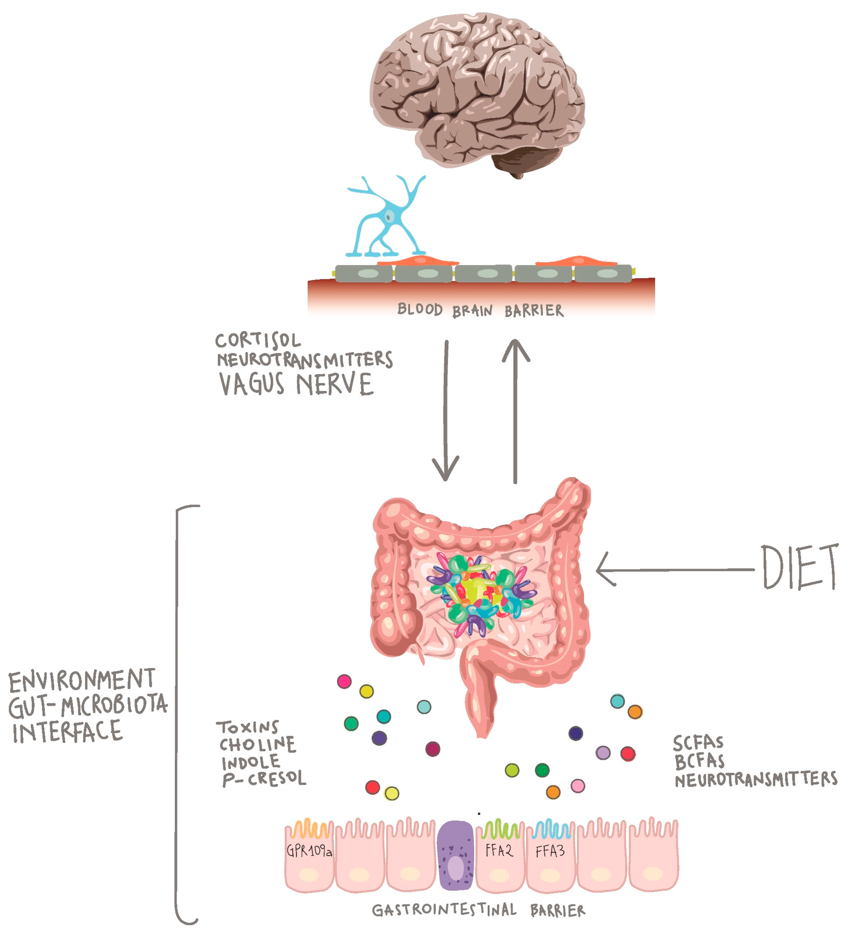 Nutrients | Free Full-Text | Nutrition, Microbiota and Role of Gut-Brain  Axis in Subjects with Phenylketonuria (PKU): A Review | HTML