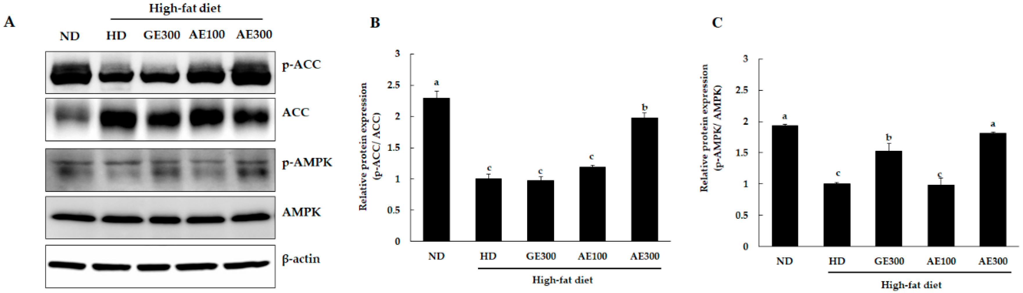 Nutrients 12 03320 g005