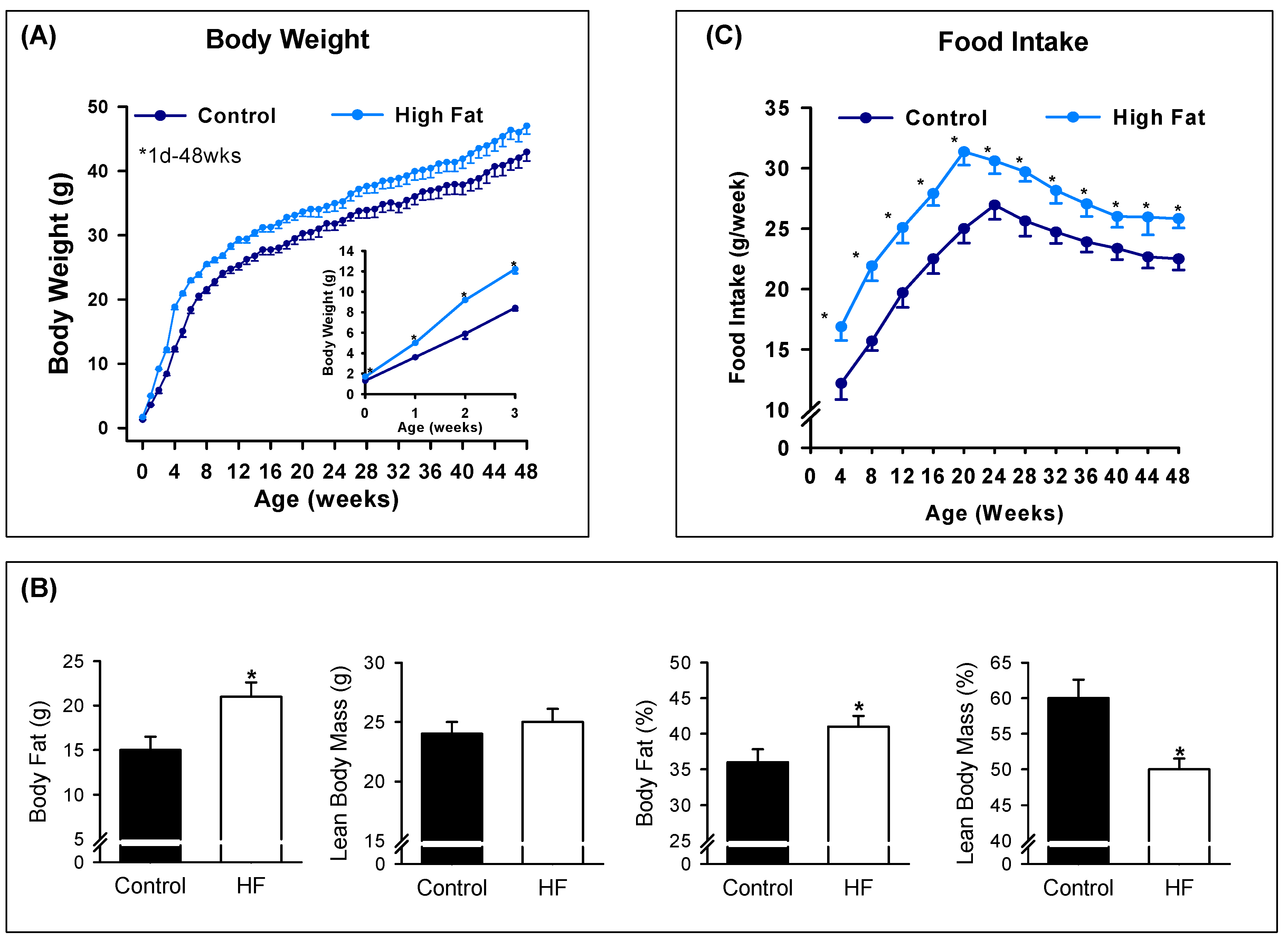 Nutrients Free Full Text Maternal High Fat Diet Programs Male Mice Offspring Hyperphagia And Obesity Mechanism Of Increased Appetite Neurons Via Altered Neurogenic Factors And Nutrient Sensor Ampk Html Nutrients Free Full Text Maternal High Fat Diet Programs Male Mice Offspring Hyperphagia And Obesity Mechanism Of Increased Appetite Neurons Via Altered Neurogenic Factors And Nutrient Sensor Ampk Html