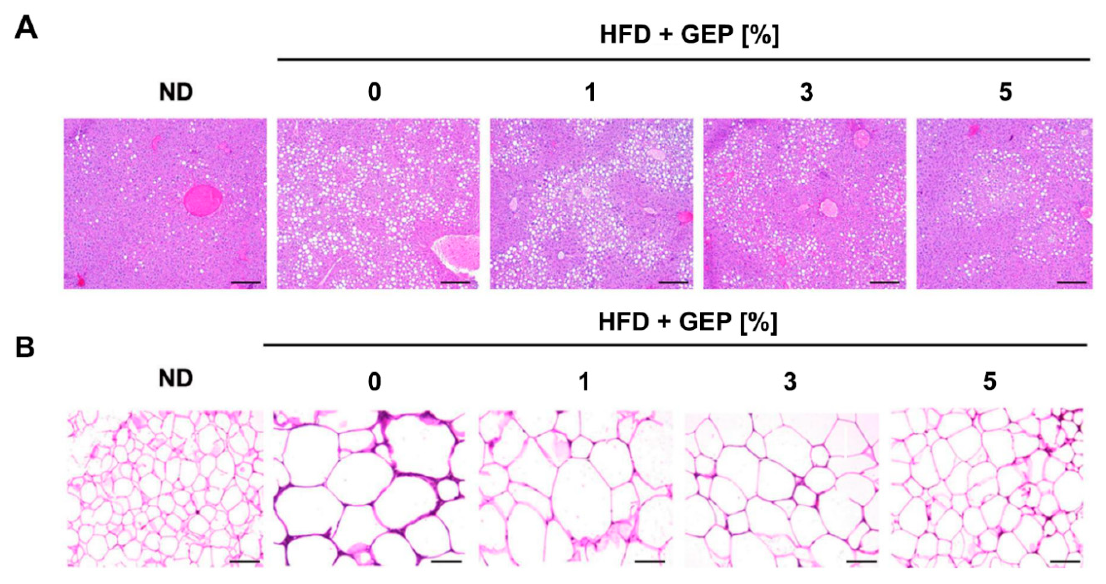 Nutrients 12 03338 g003