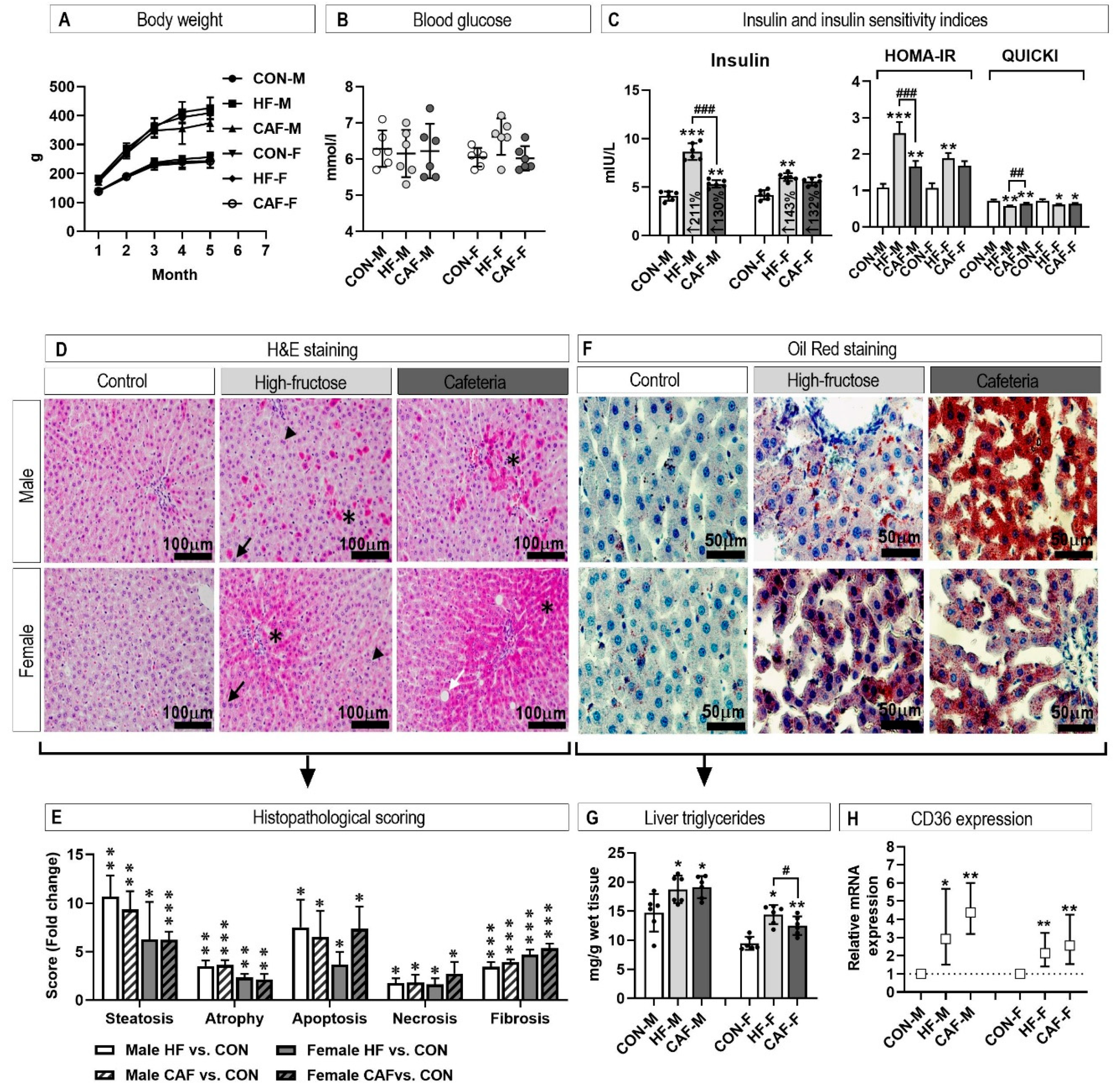 Nutrients 12 03339 g002