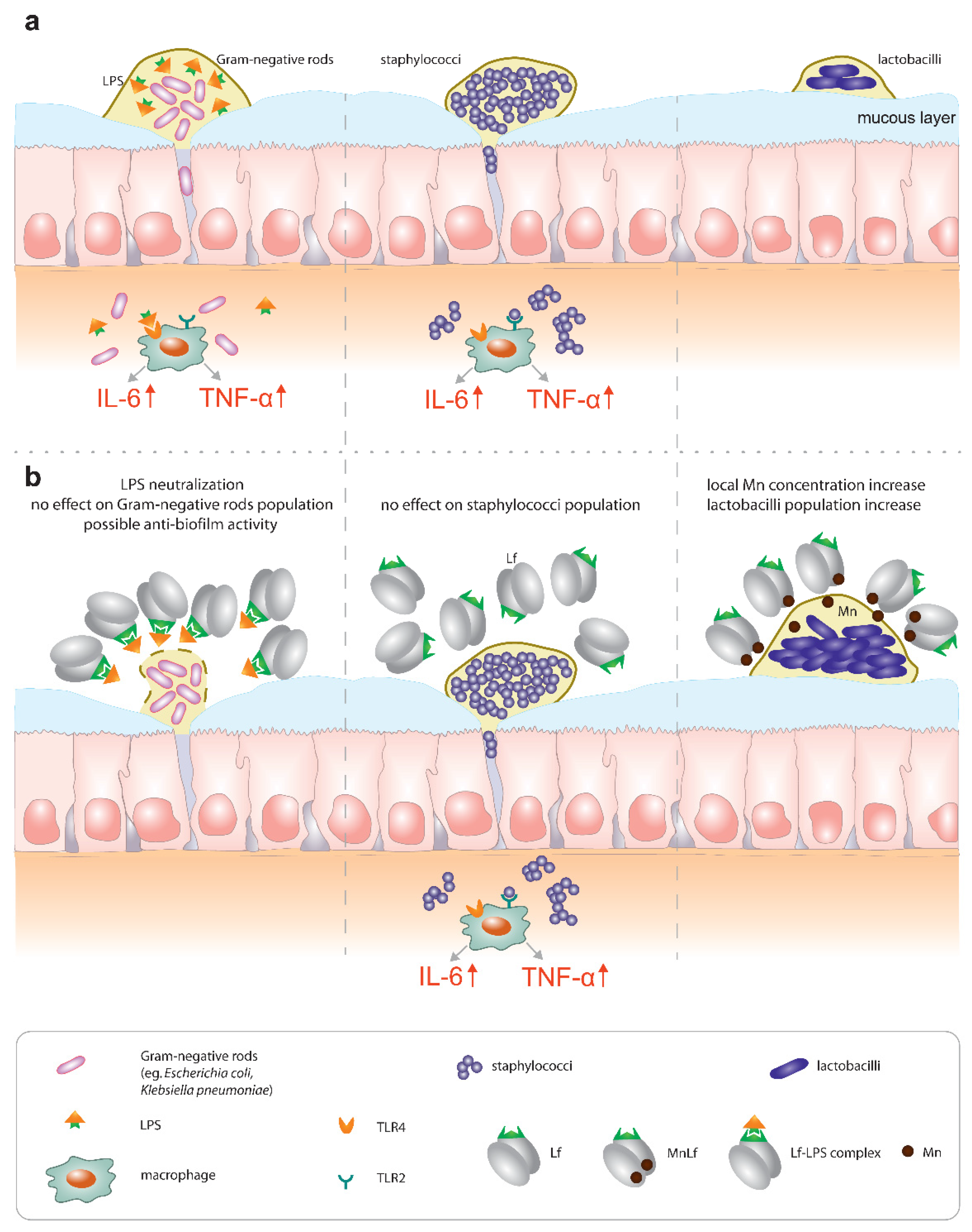 Nutrients 12 03340 g007