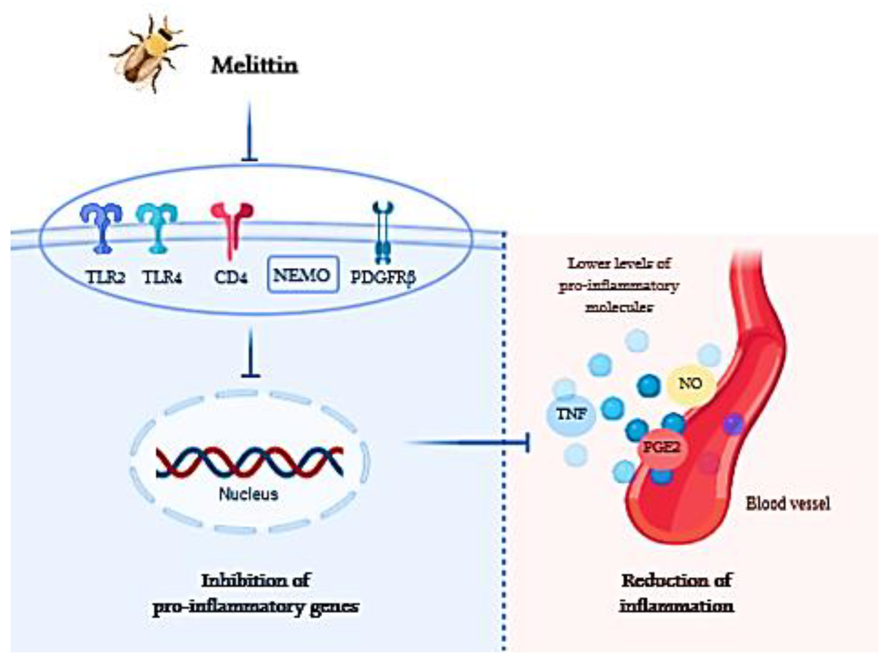 Nutrients 12 03360 g002 Nutrients 12 03360 g002