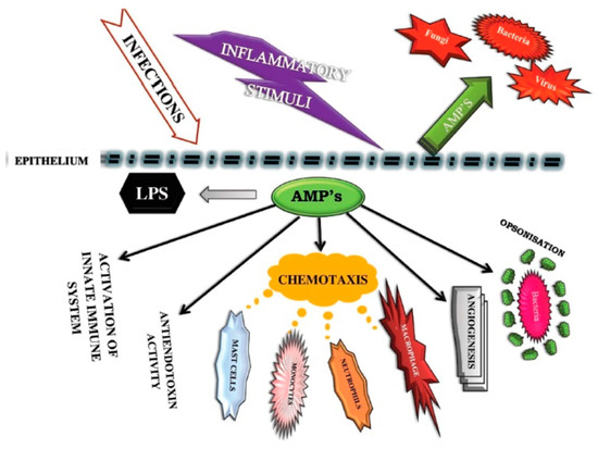 Nutrients 12 03361 g001 550