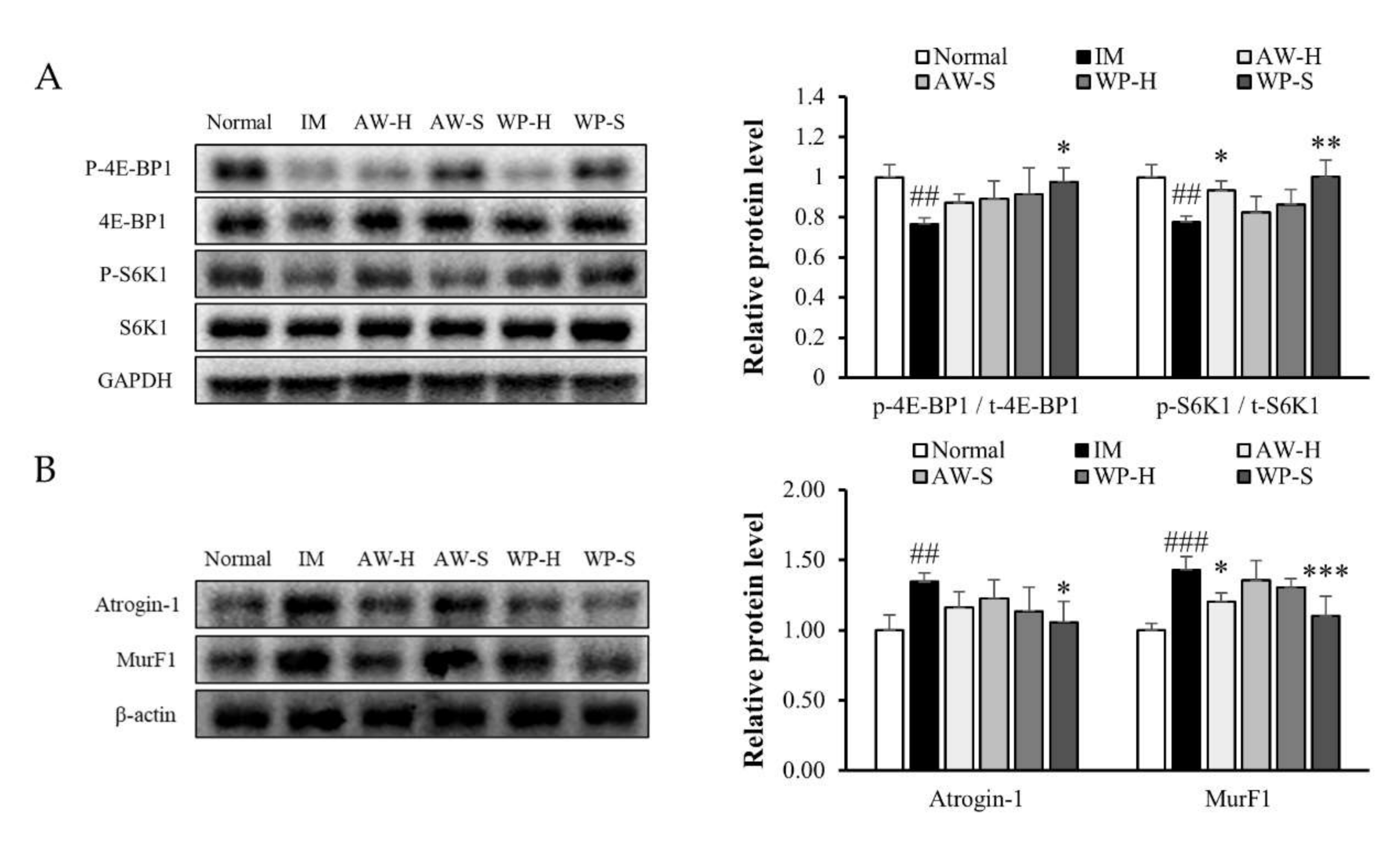Nutrients 12 03362 g002 Nutrients 12 03362 g002