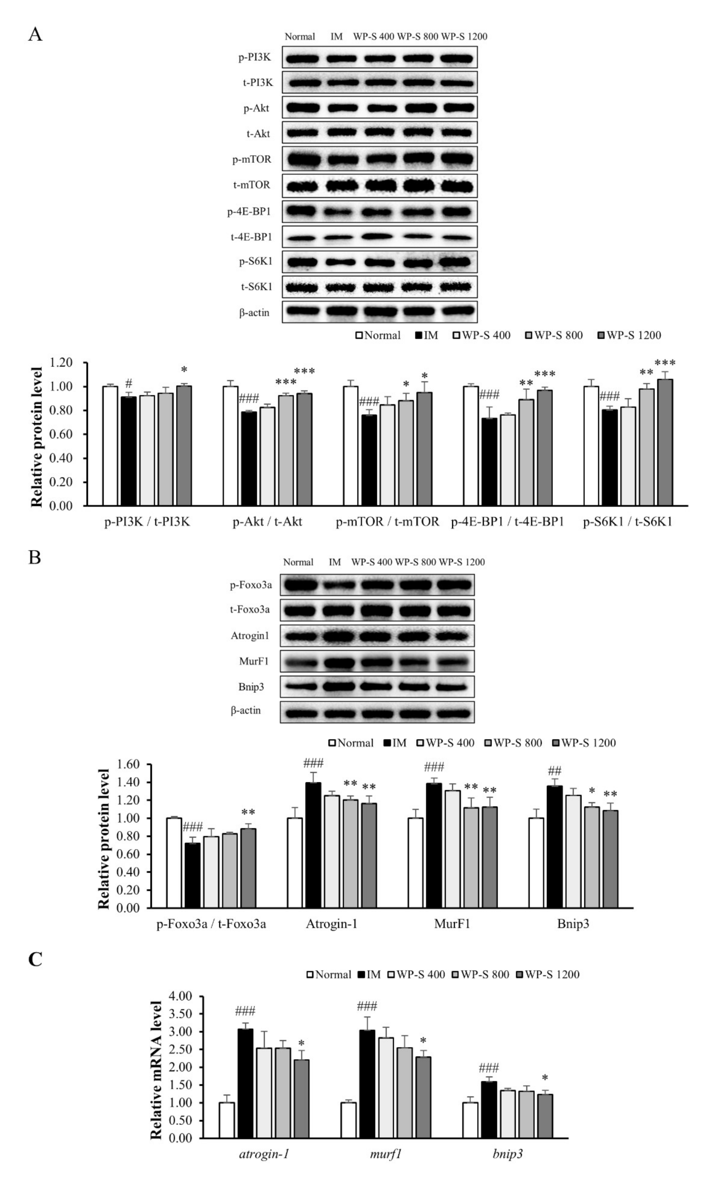 Nutrients 12 03362 g004 Nutrients 12 03362 g004