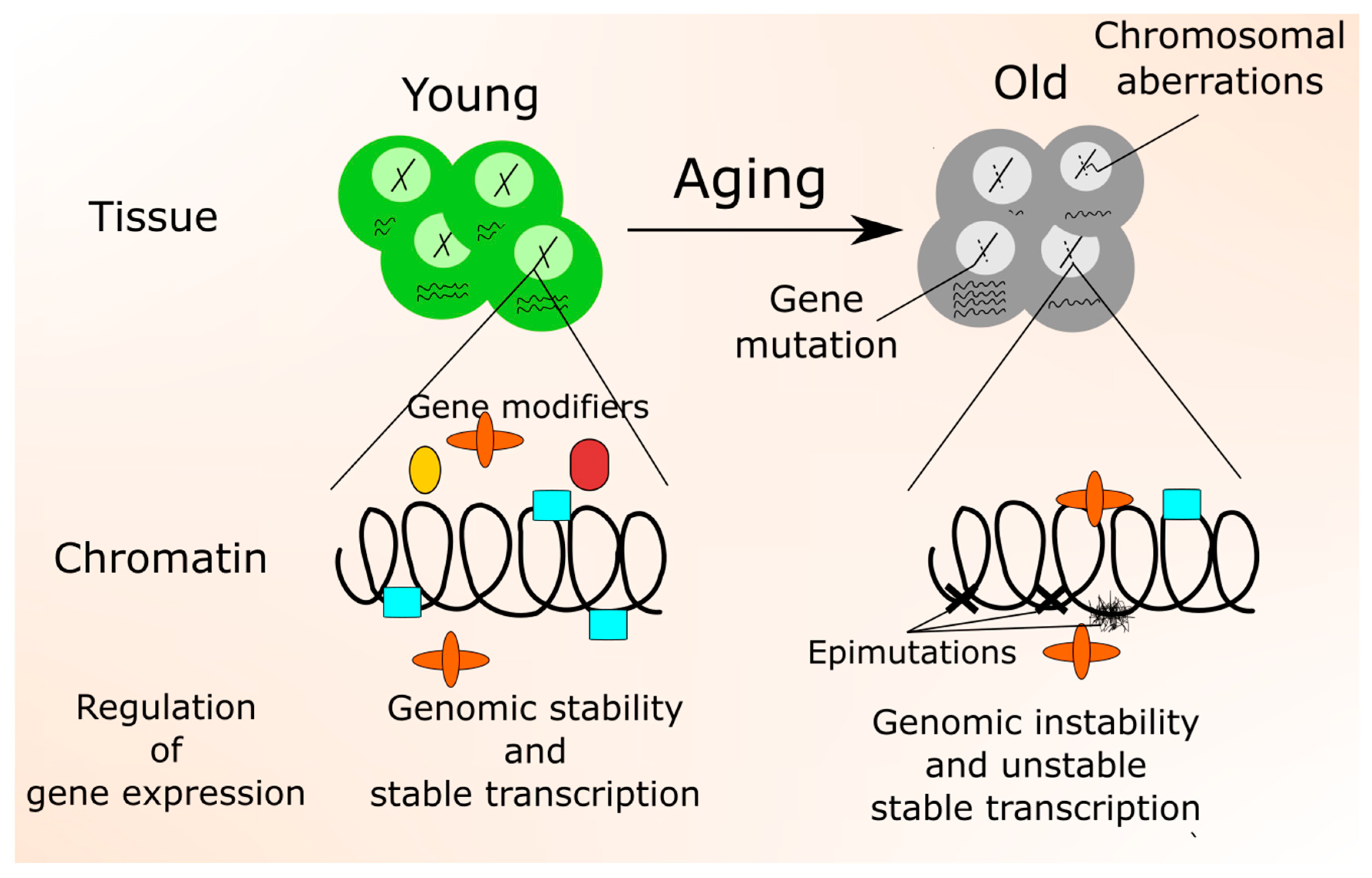 Nutrients 12 03366 g004 Nutrients 12 03366 g004