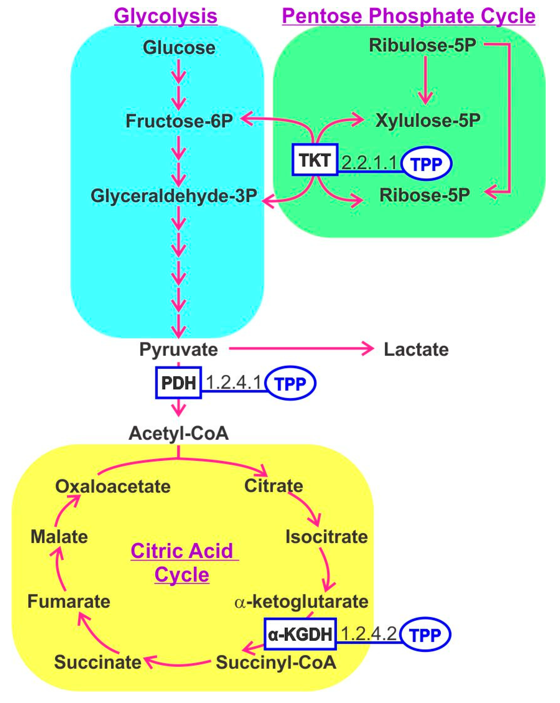 Nutrients 12 03380 g002