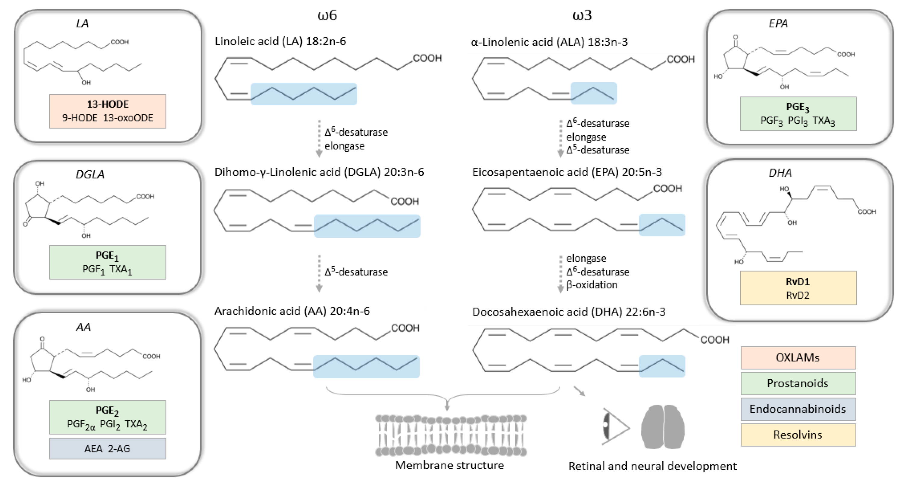 Nutrients 12 03384 g002