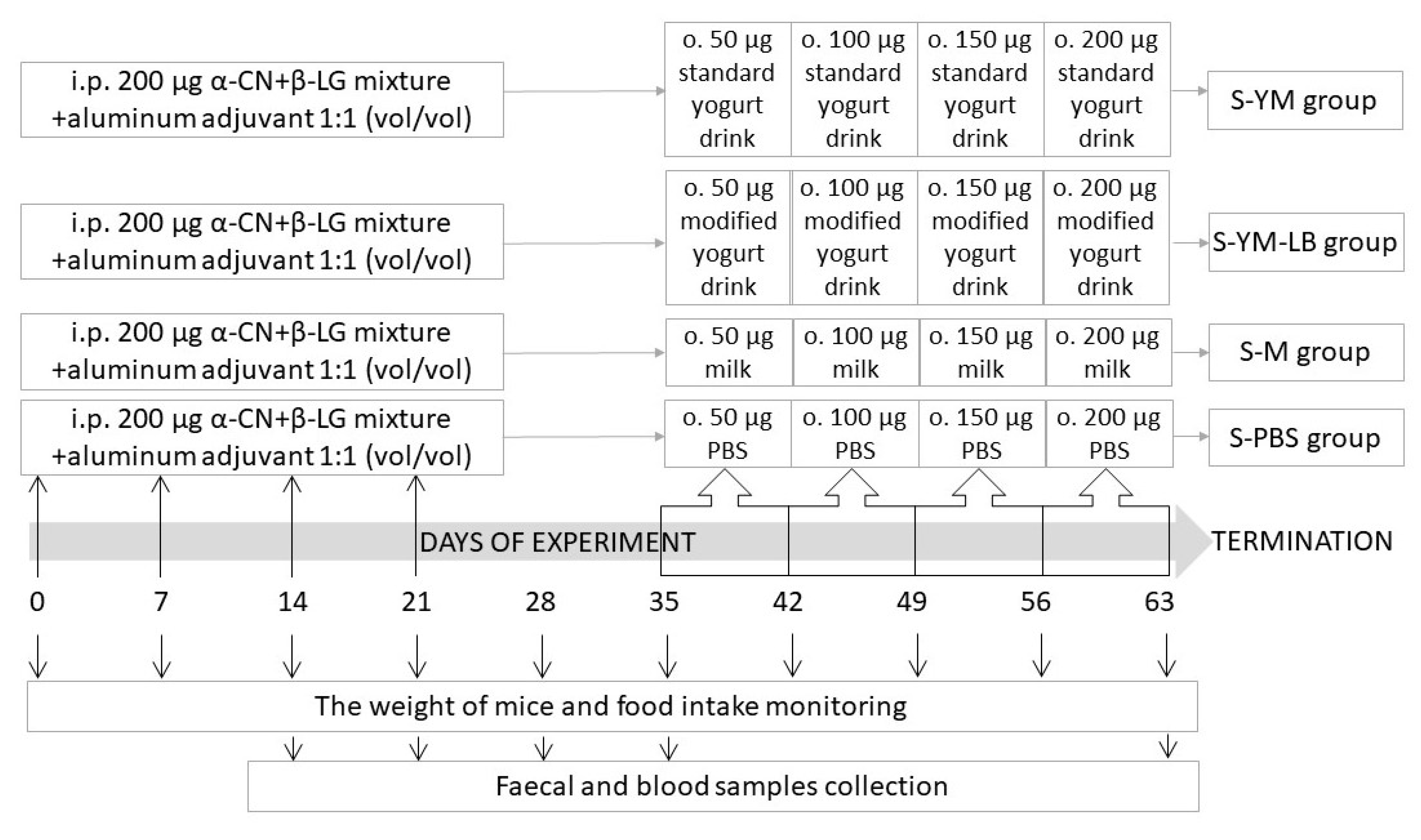 Nutrients Free Full Text Effect Of Low Immunogenic Yogurt Drinks And Probiotic Bacteria On Immunoreactivity Of Cow S Milk Proteins And Tolerance Induction In Vitro And In Vivo Studies Html