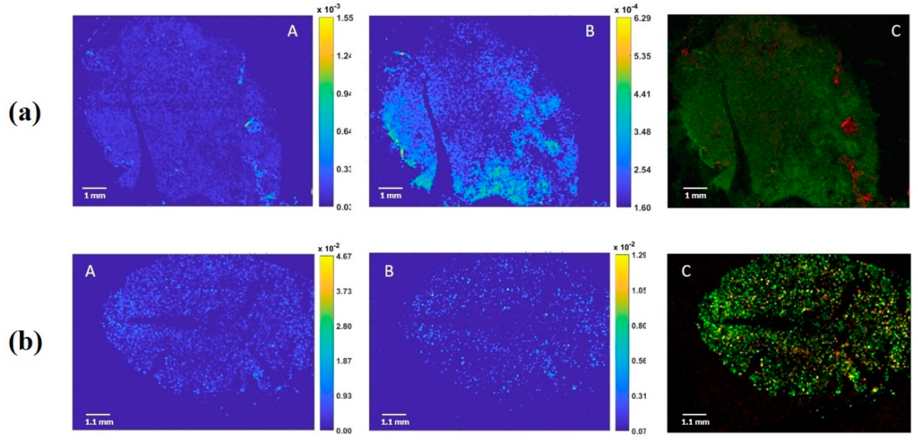 Nutrients 12 03397 g001 Nutrients 12 03397 g001