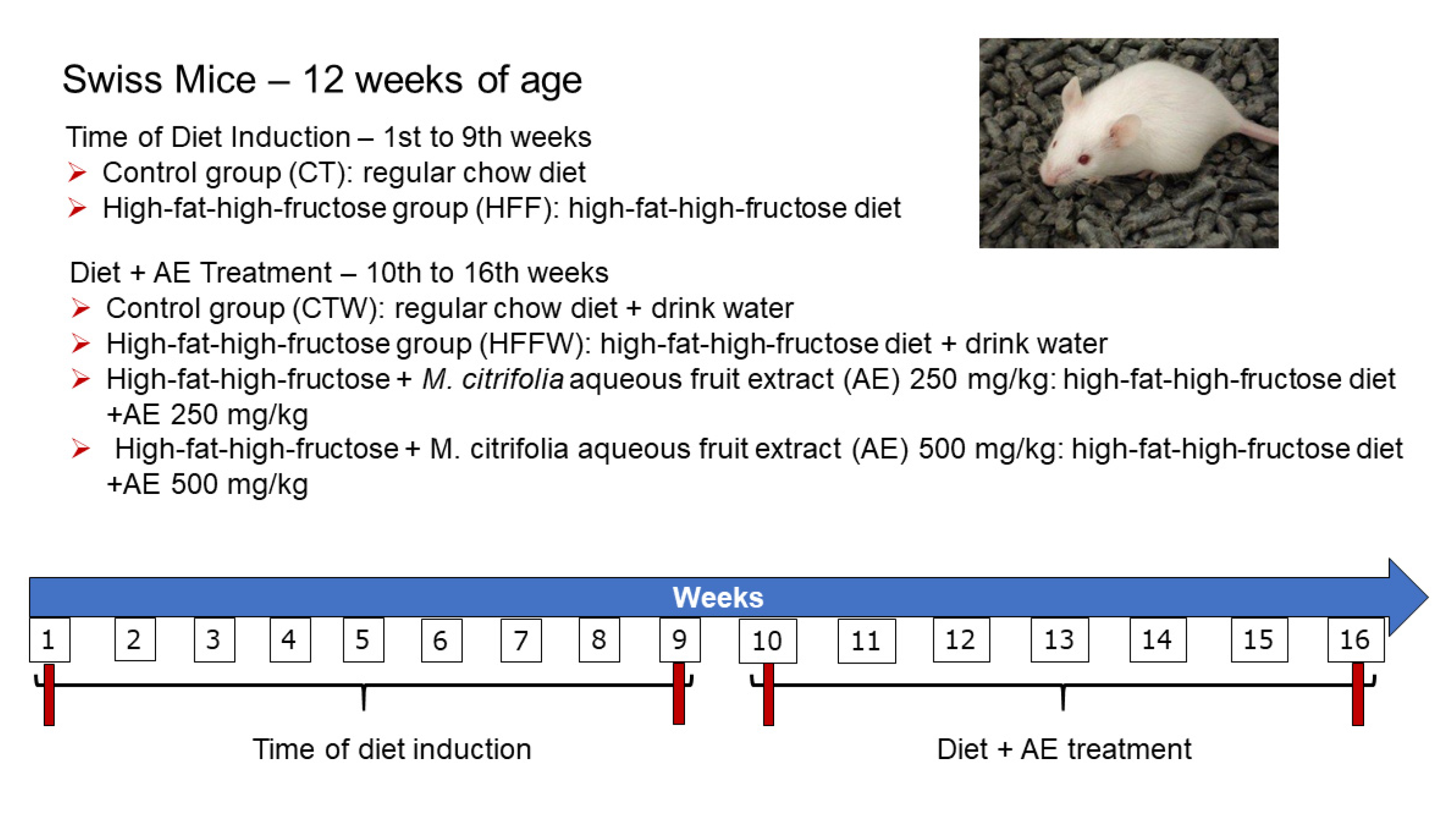 Nutrients 12 03439 g001 Nutrients 12 03439 g001