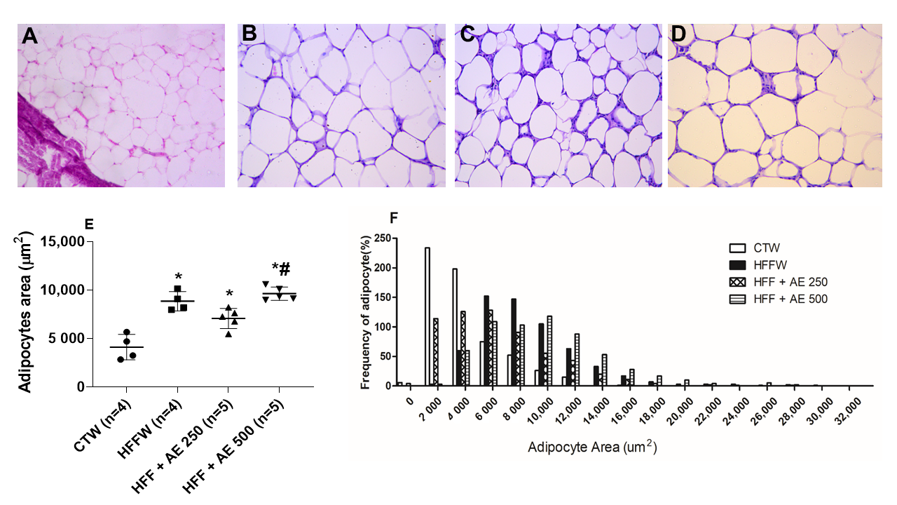 Nutrients 12 03439 g008 Nutrients 12 03439 g008
