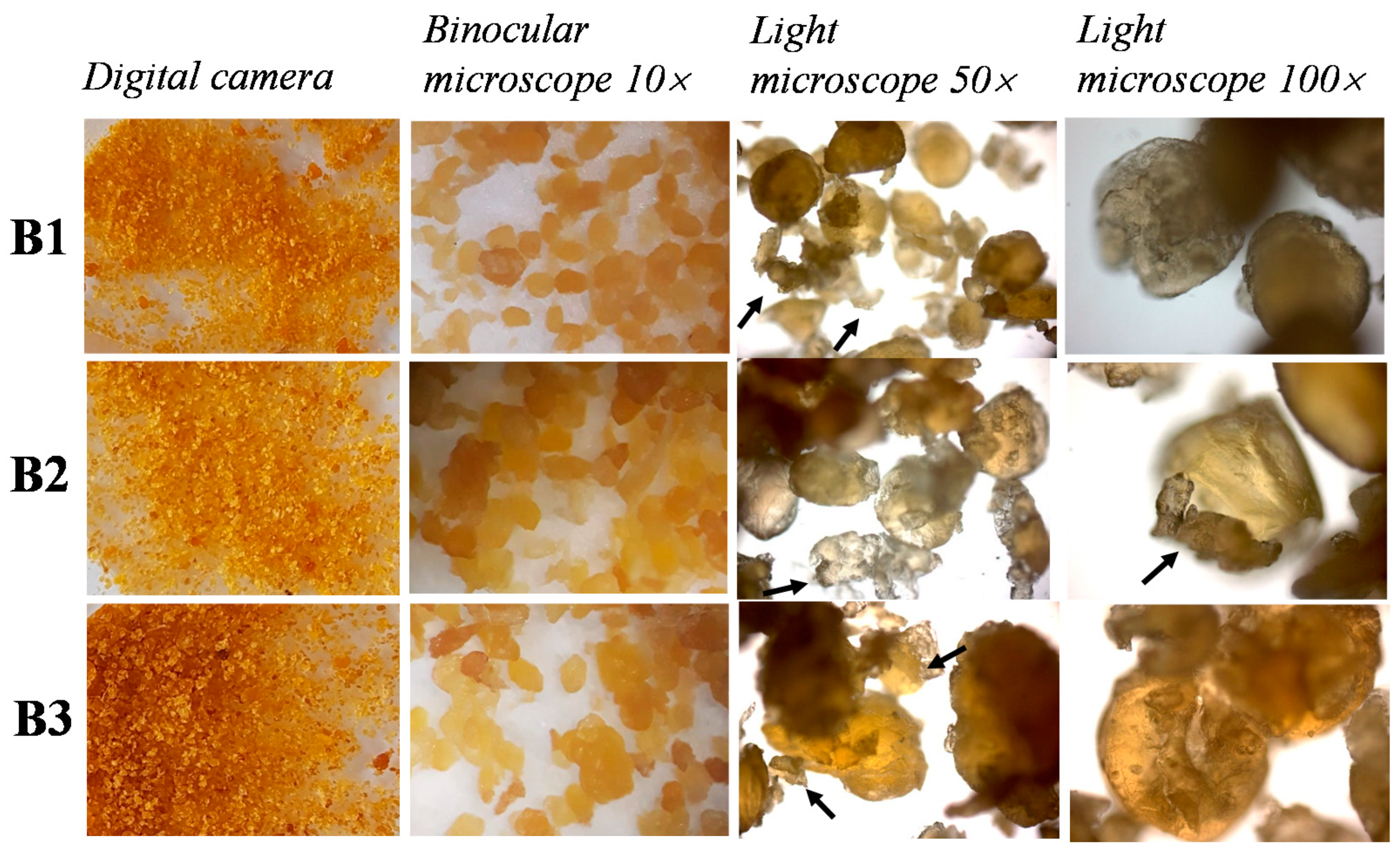 Nutrients 12 03454 g001 Nutrients 12 03454 g001