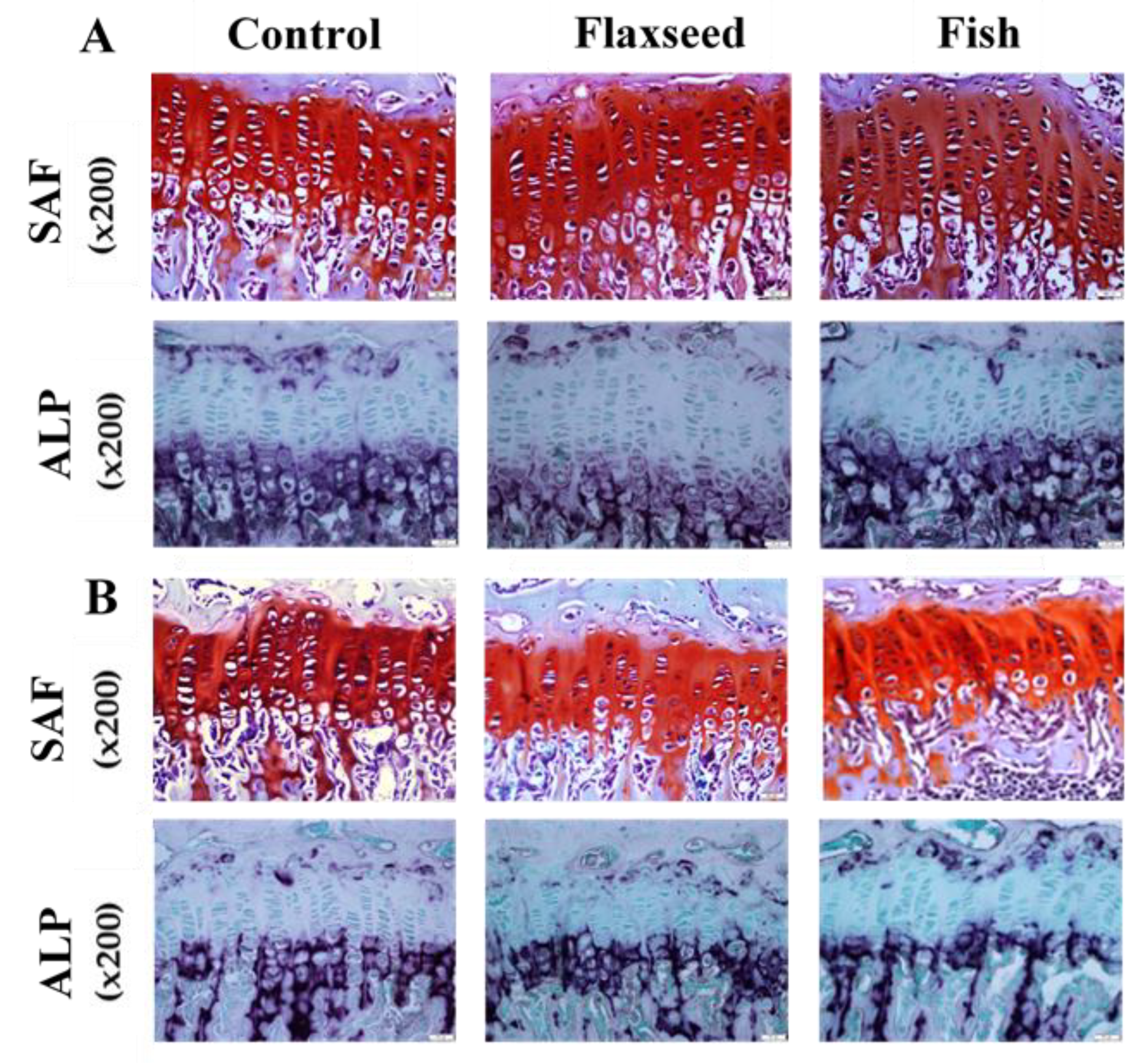 Nutrients 12 03494 g004