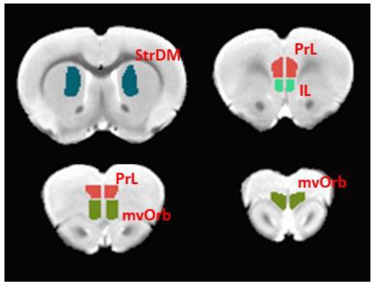 Nutrients 12 03513 g001