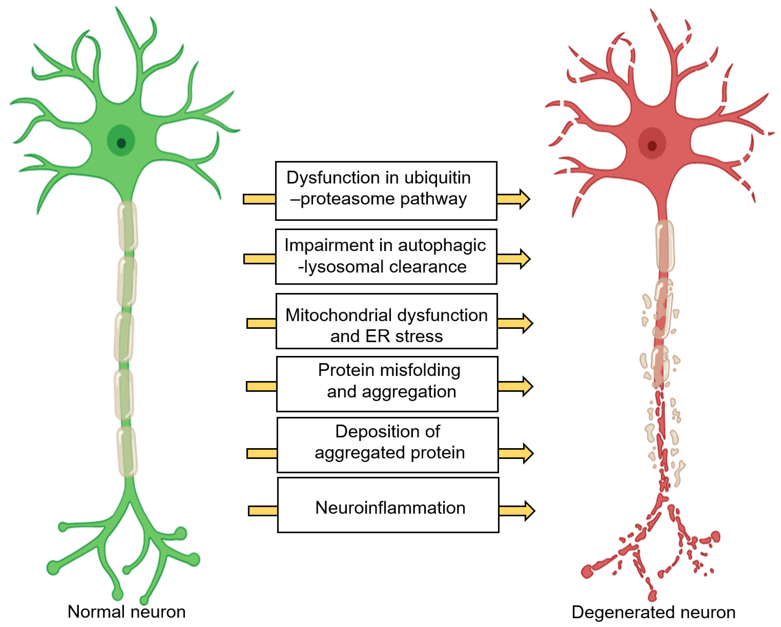 Nutrients 12 03523 g001 Nutrients 12 03523 g001