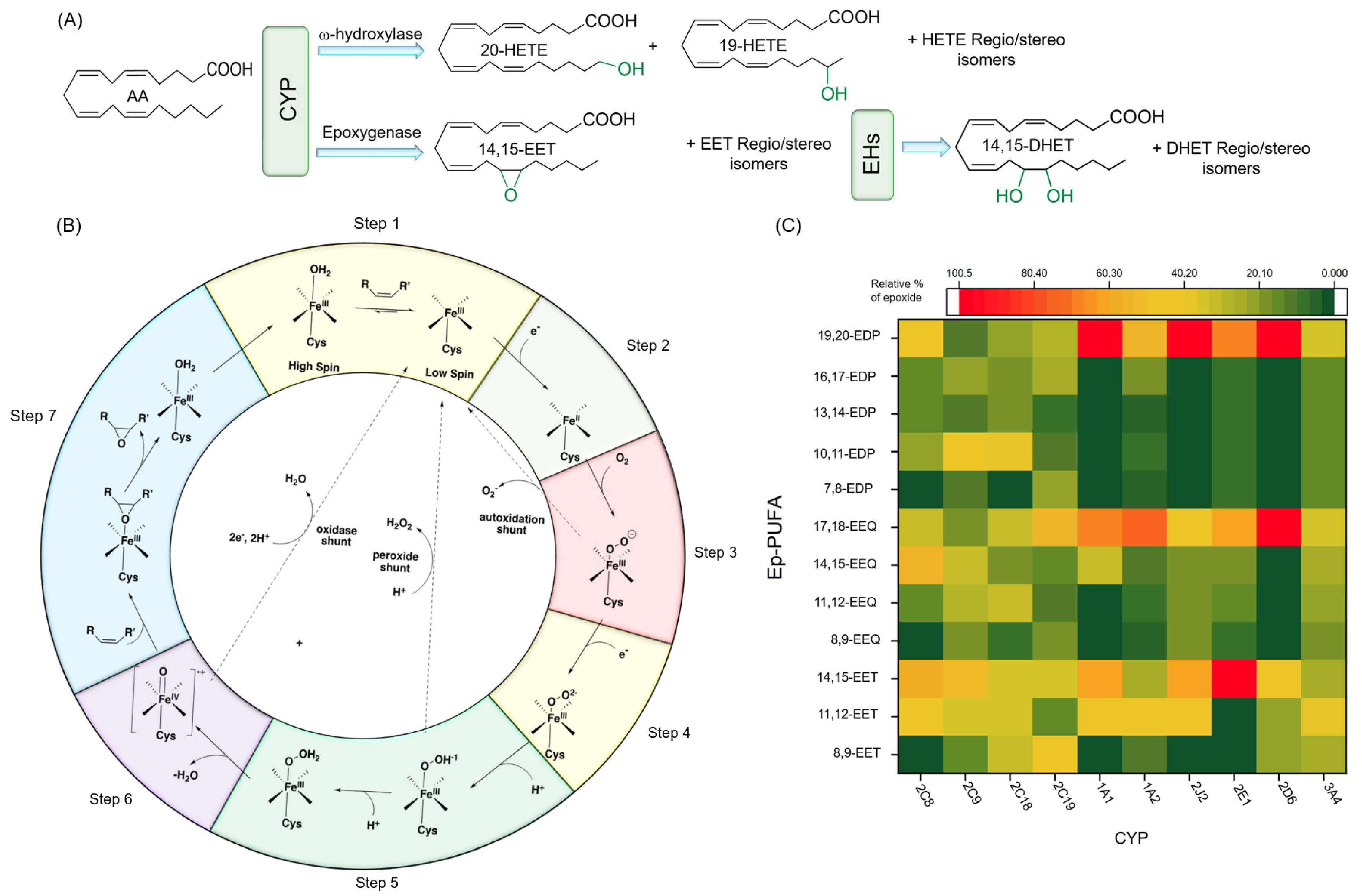Nutrients 12 03523 g003 Nutrients 12 03523 g003