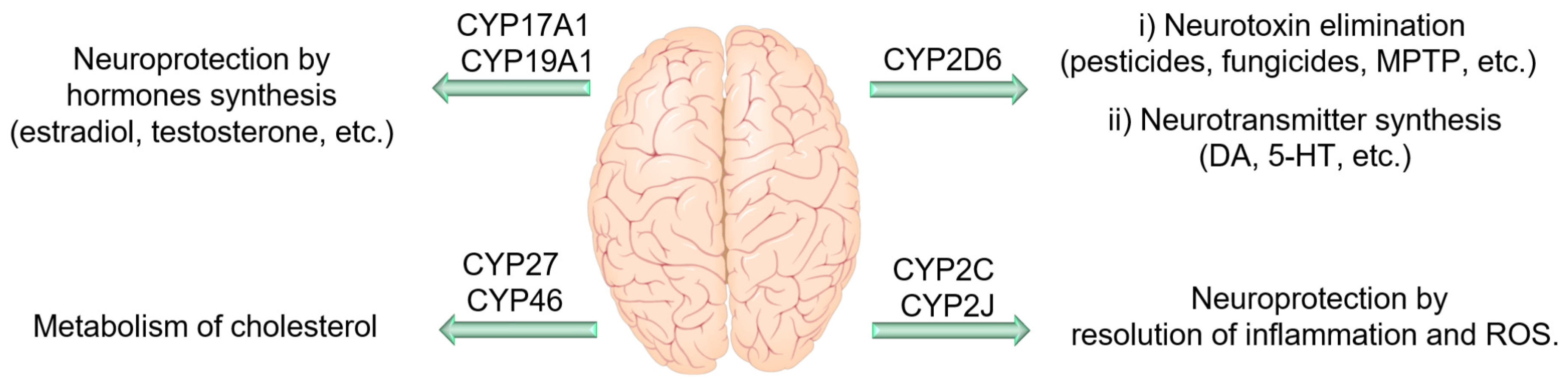 Nutrients 12 03523 g004 Nutrients 12 03523 g004