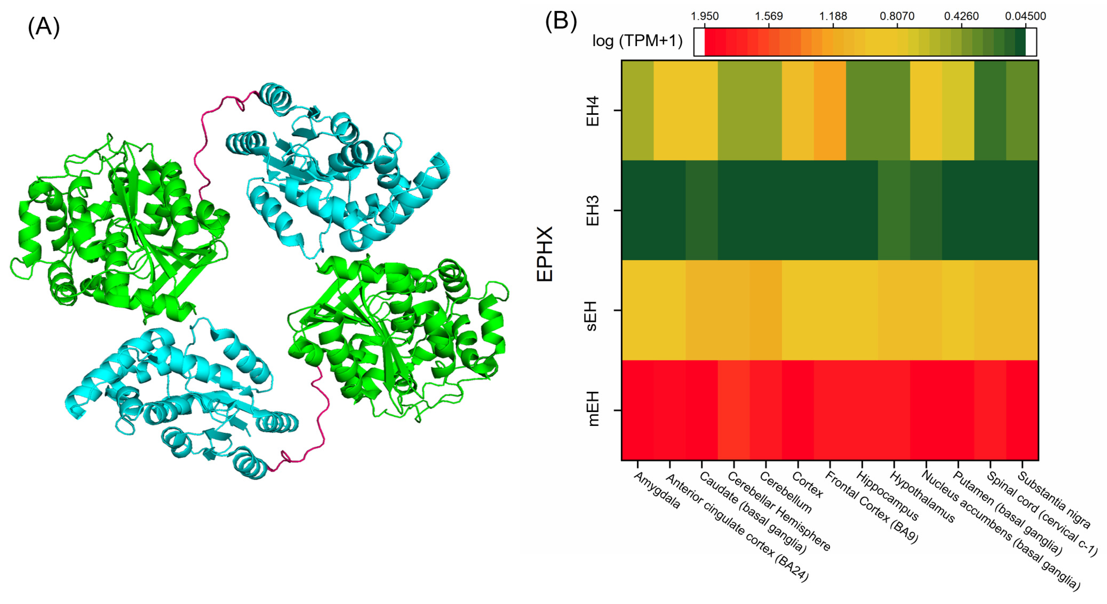 Nutrients 12 03523 g005 Nutrients 12 03523 g005