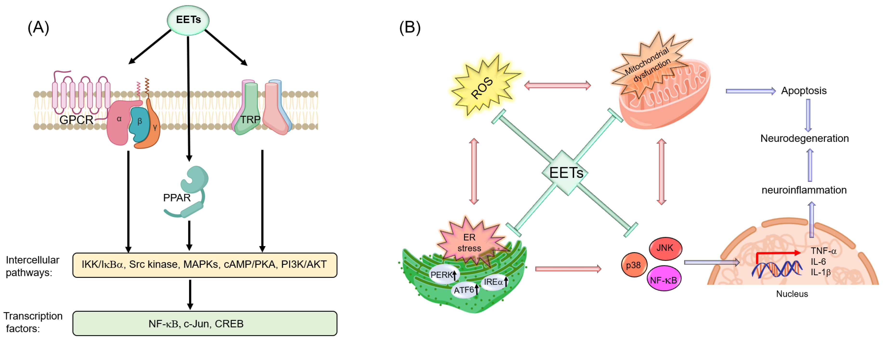 Nutrients 12 03523 g006 Nutrients 12 03523 g006