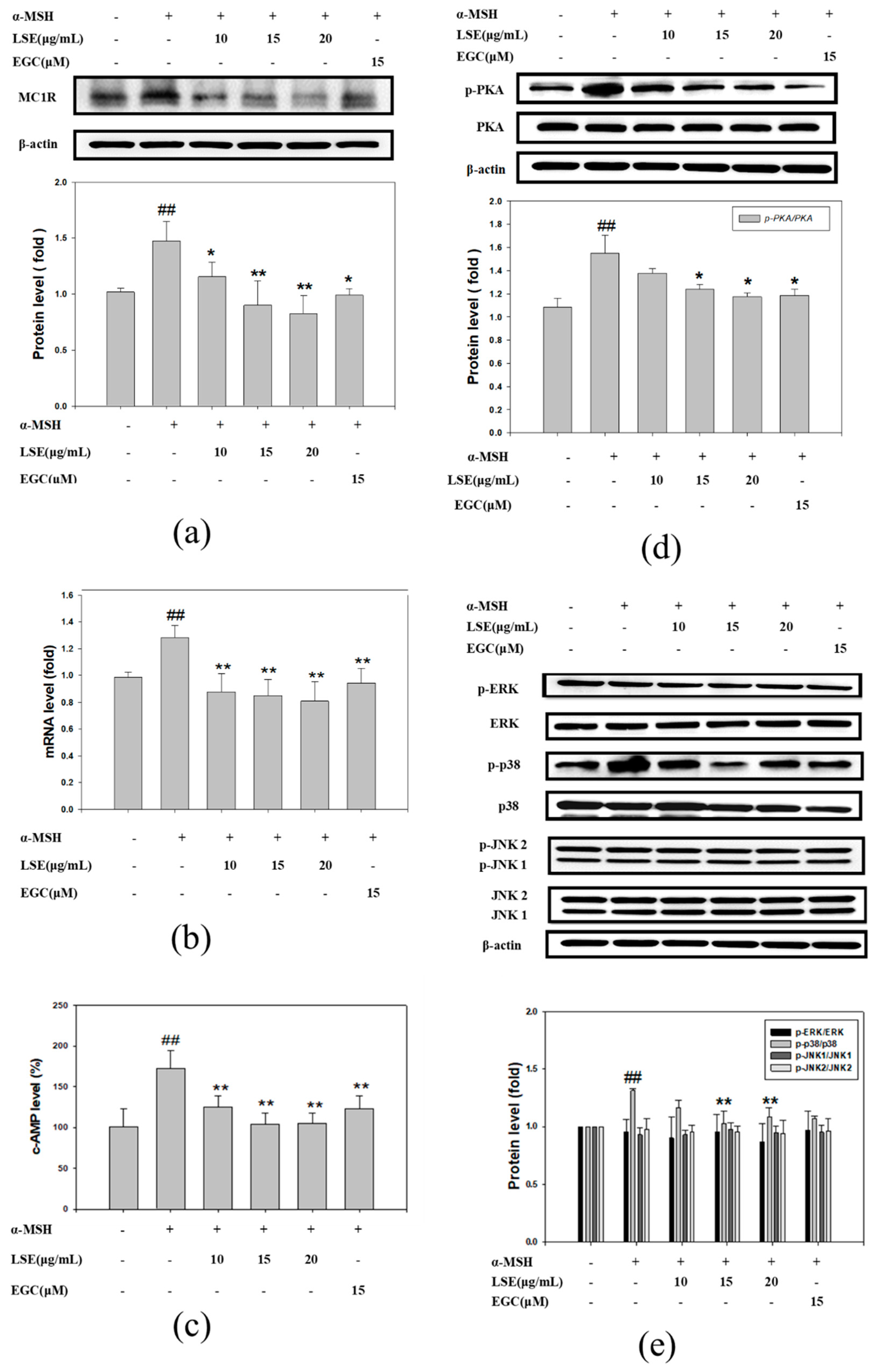 Nutrients 12 03535 g003 Nutrients 12 03535 g003